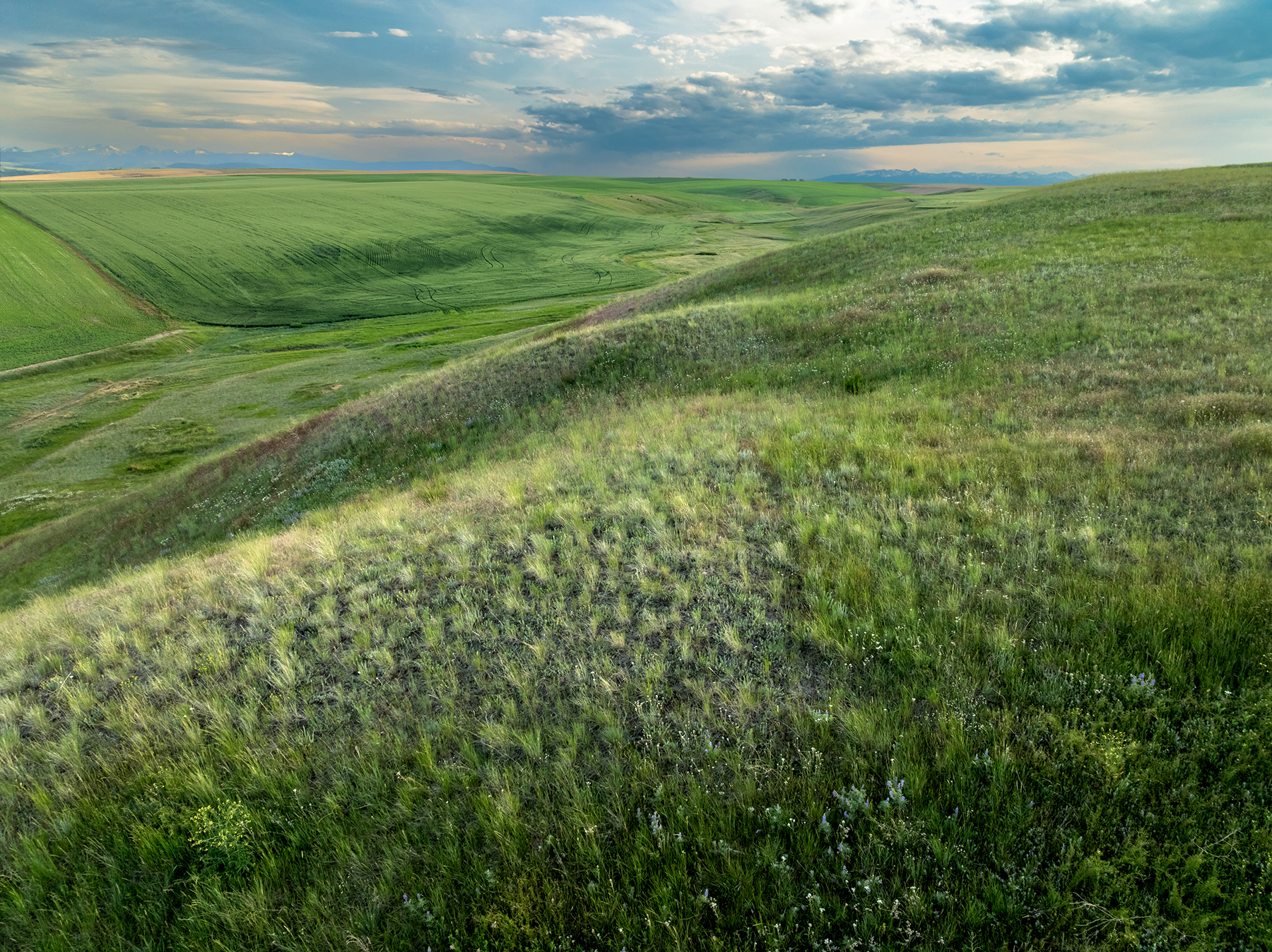 Amsterdam 1,100± Acre Farm property picture 9 of 34
