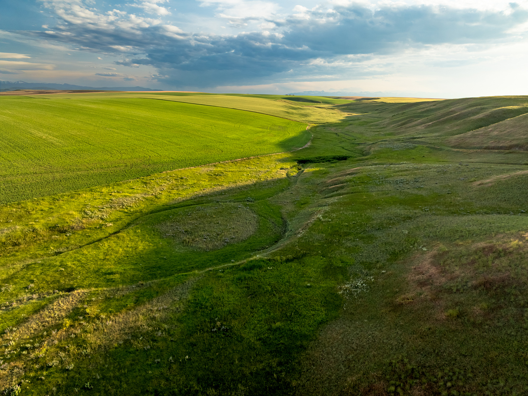 Amsterdam 1,100± Acre Farm property picture 25 of 34
