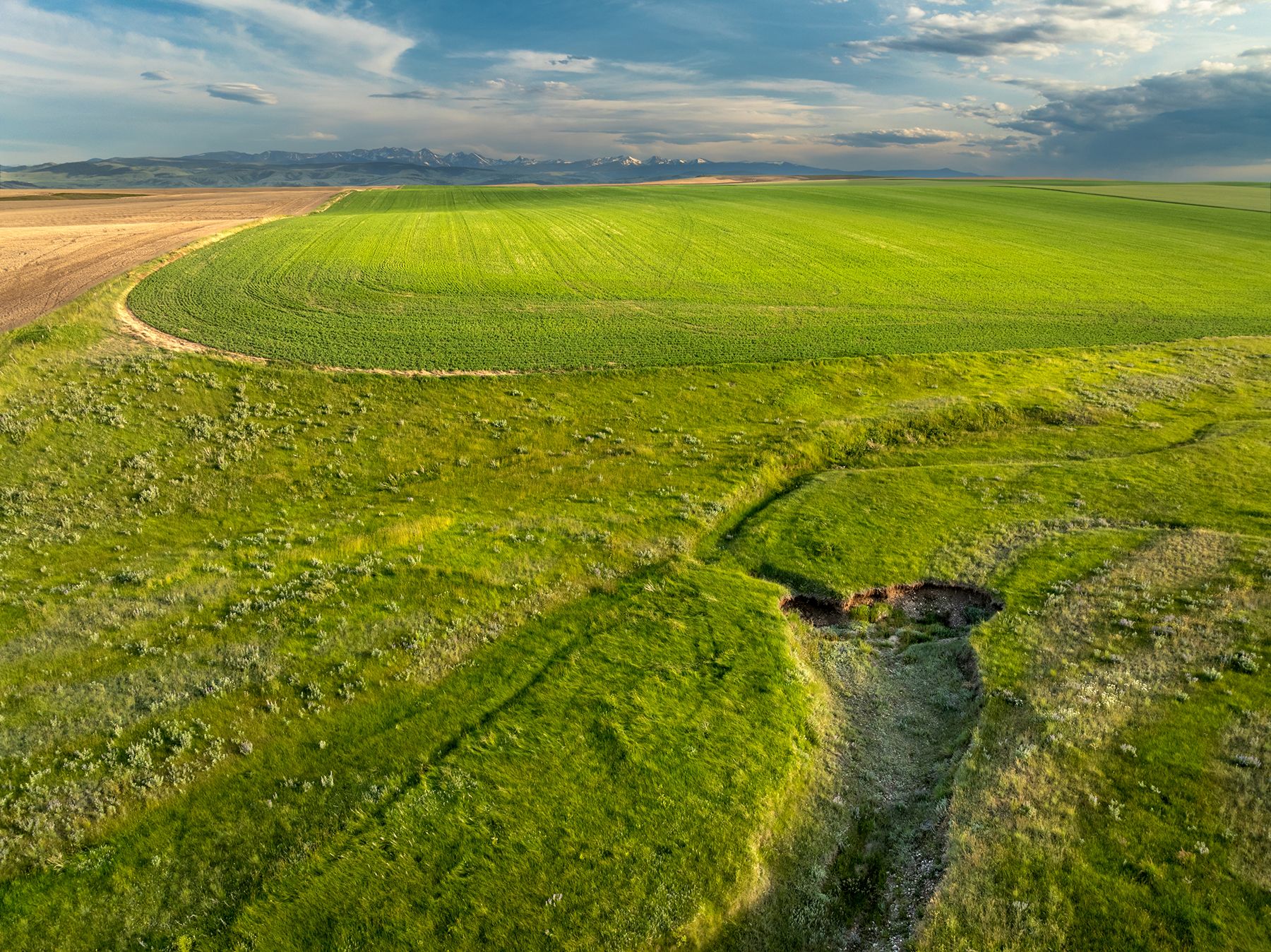 Amsterdam 1,100± Acre Farm property picture 23 of 34