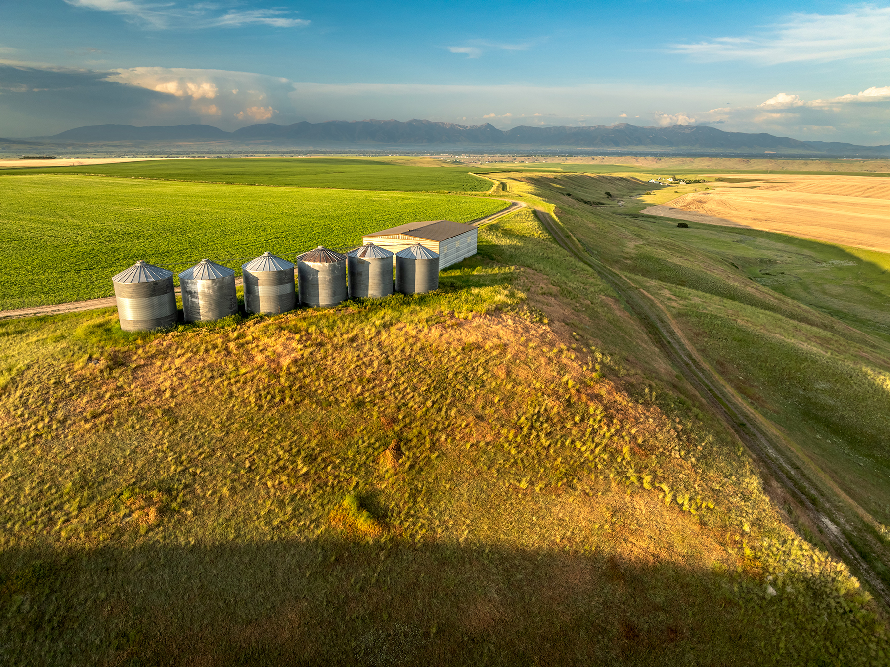 Amsterdam 1,100± Acre Farm property picture 17 of 34