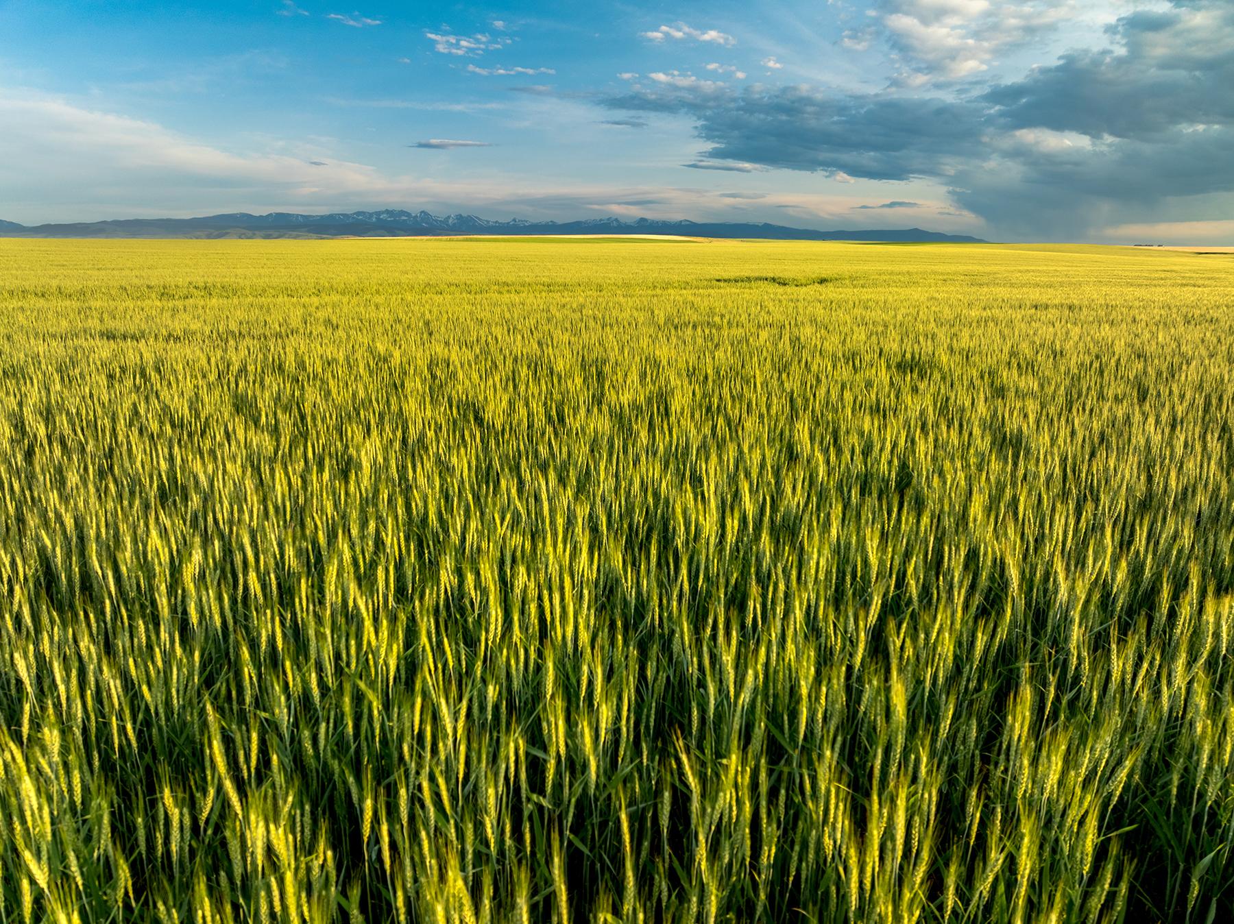 Amsterdam 1,100± Acre Farm property picture 4 of 34