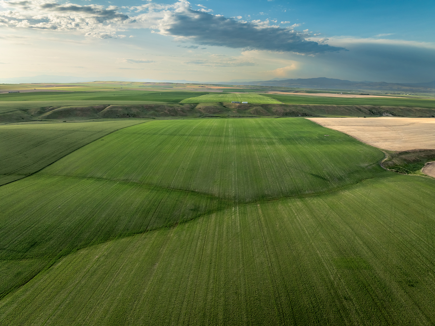 Amsterdam 1,100± Acre Farm property picture 32 of 34