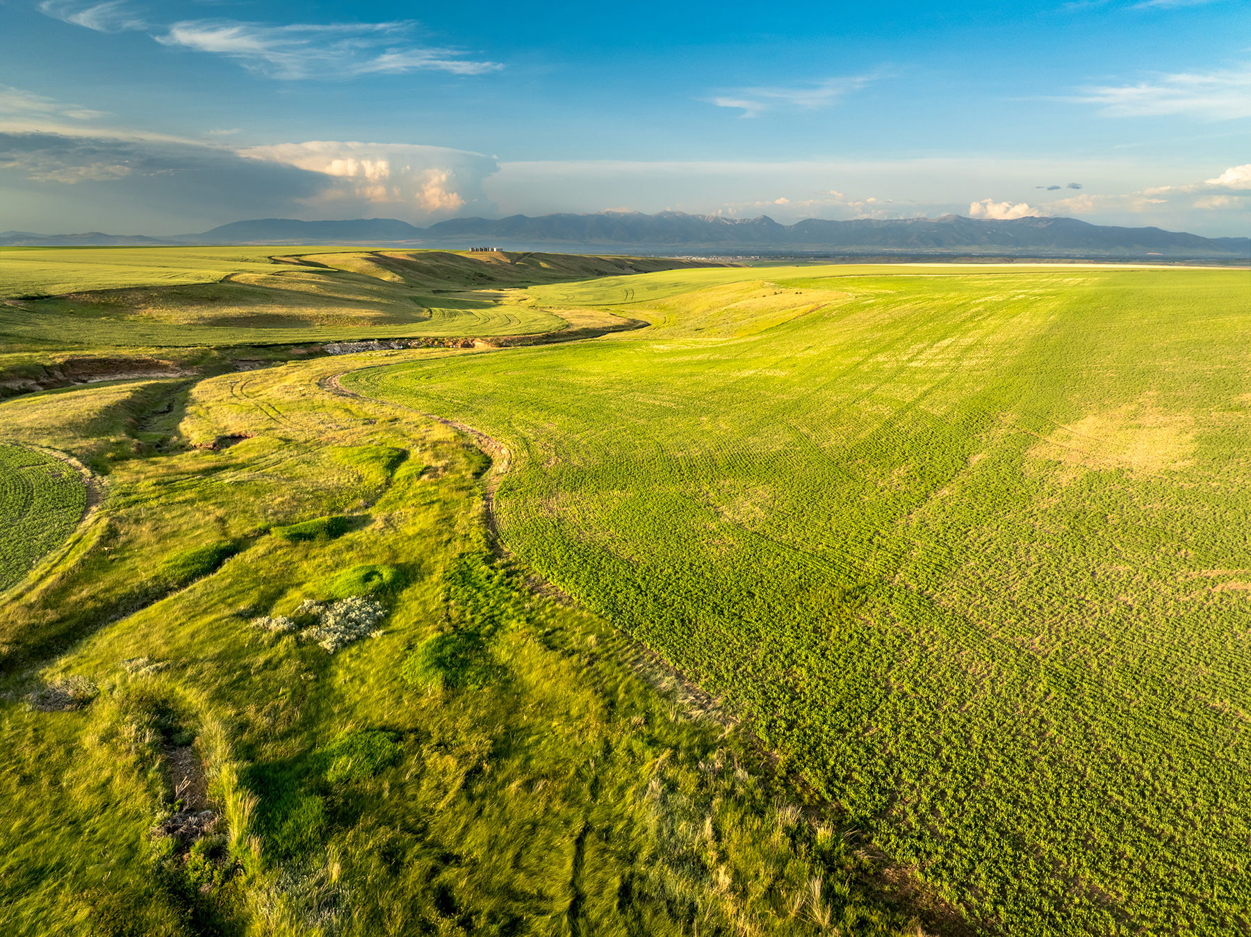 Amsterdam 1,100± Acre Farm property picture 3 of 34