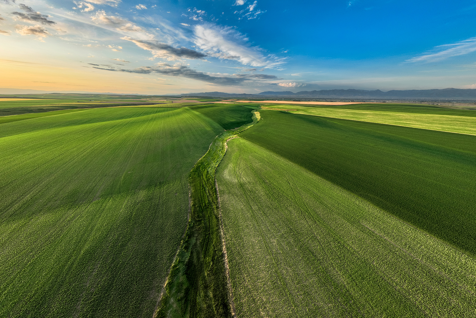Amsterdam 1,100± Acre Farm property picture 20 of 34