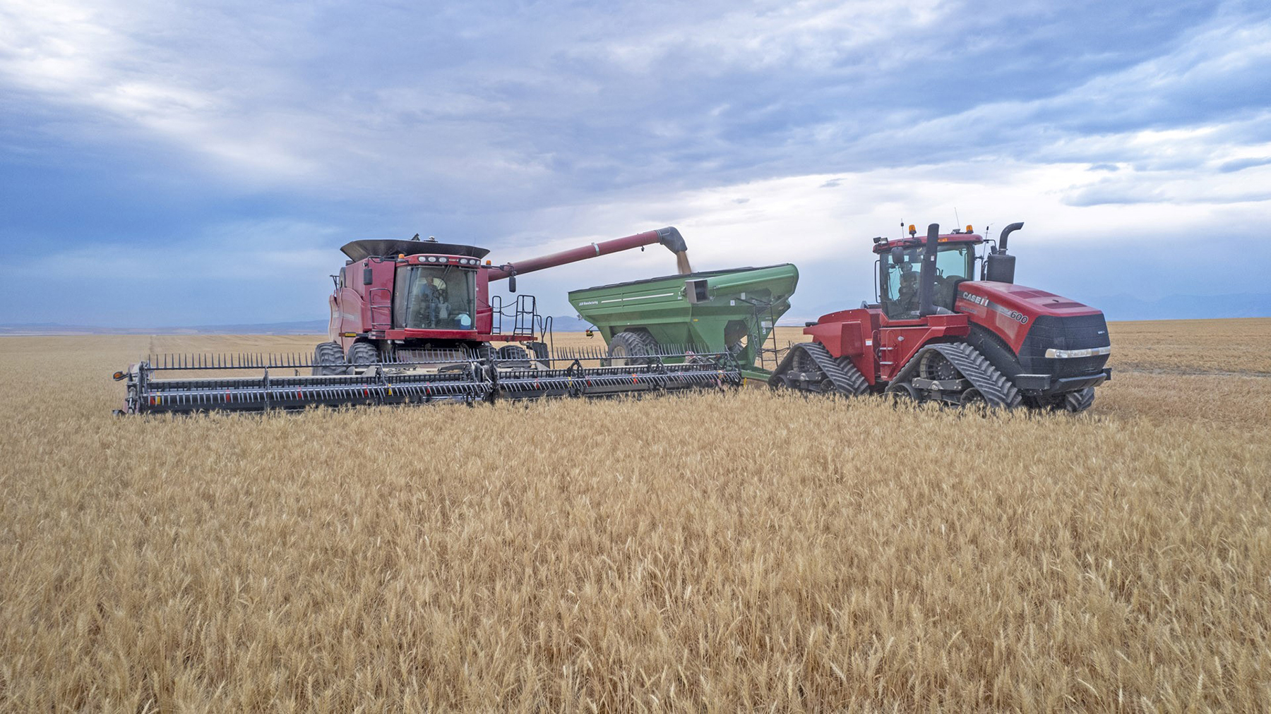 Amsterdam 1,100± Acre Farm property picture 27 of 34