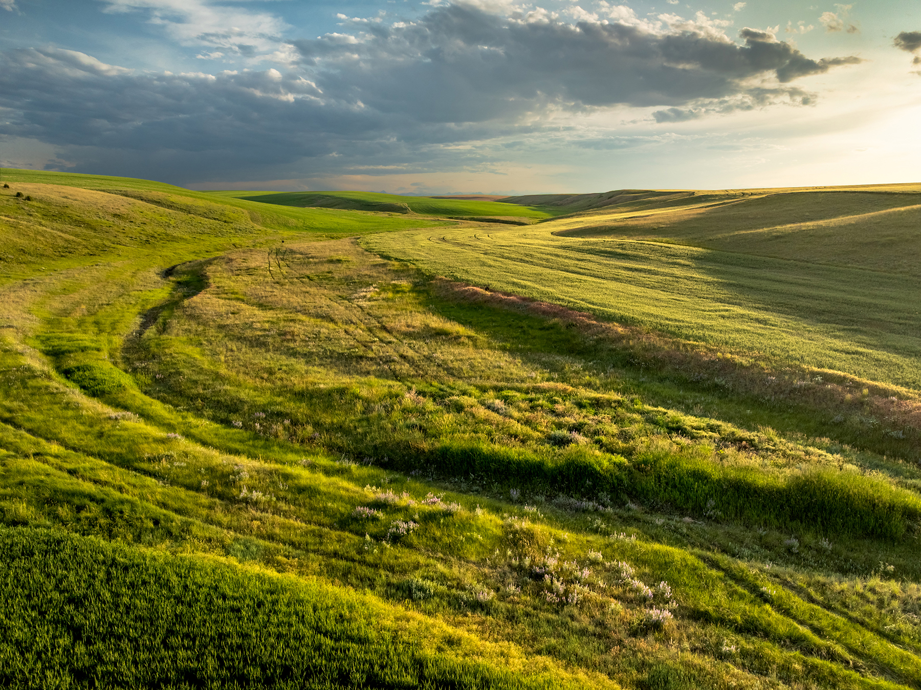 Amsterdam 1,100± Acre Farm property picture 6 of 34