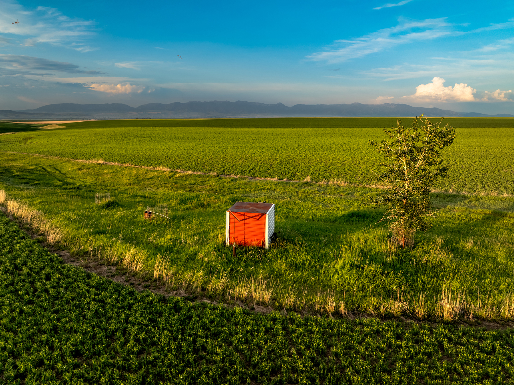 Amsterdam 1,100± Acre Farm property picture 11 of 34