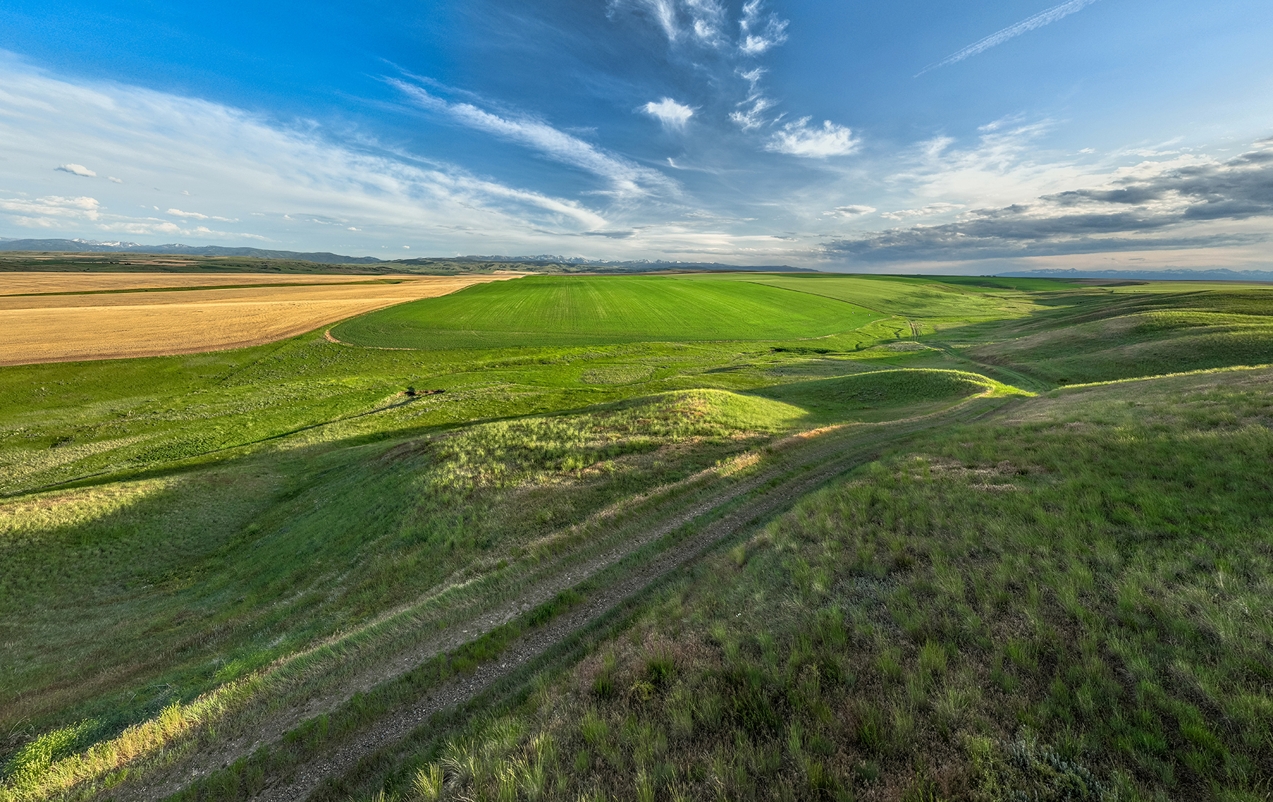 Amsterdam 1,100± Acre Farm property picture 18 of 34