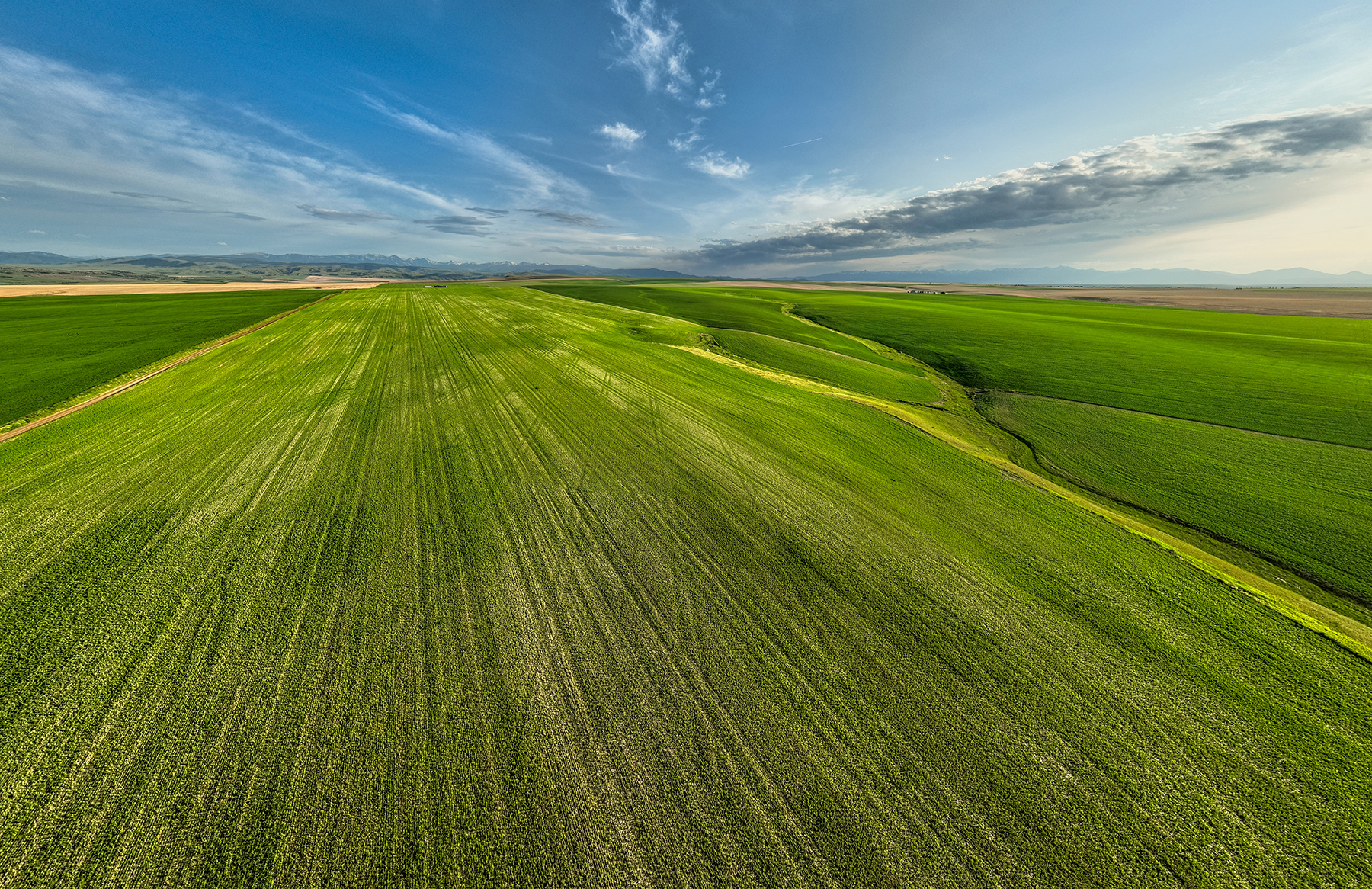 Amsterdam 1,100± Acre Farm property picture 2 of 34