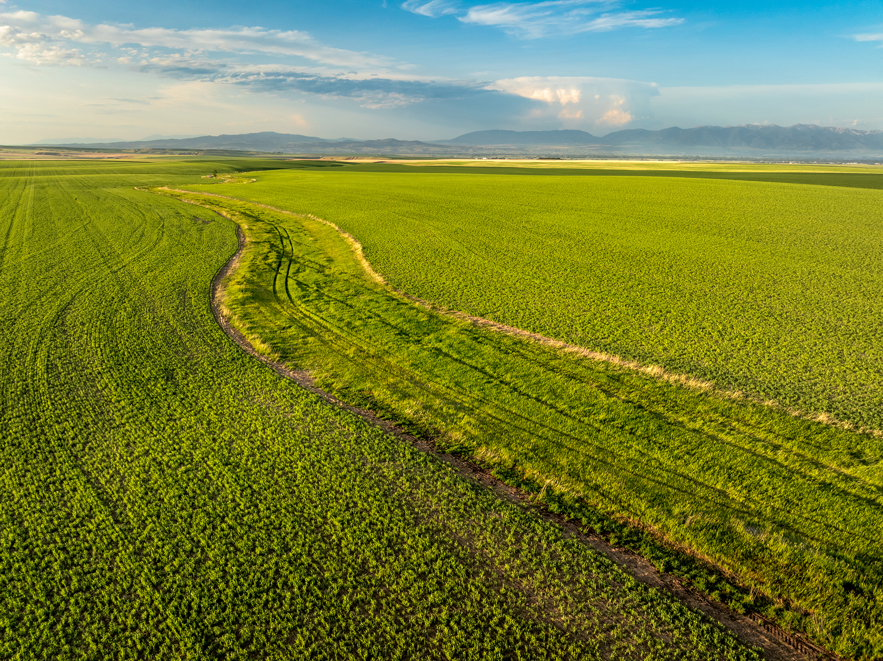 Amsterdam 1,100± Acre Farm property picture 26 of 34