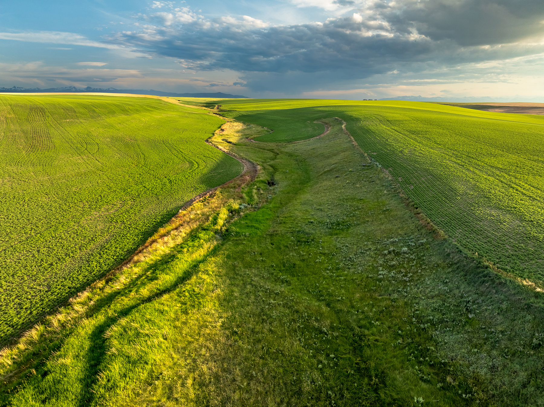 Amsterdam 1,100± Acre Farm property picture 10 of 34