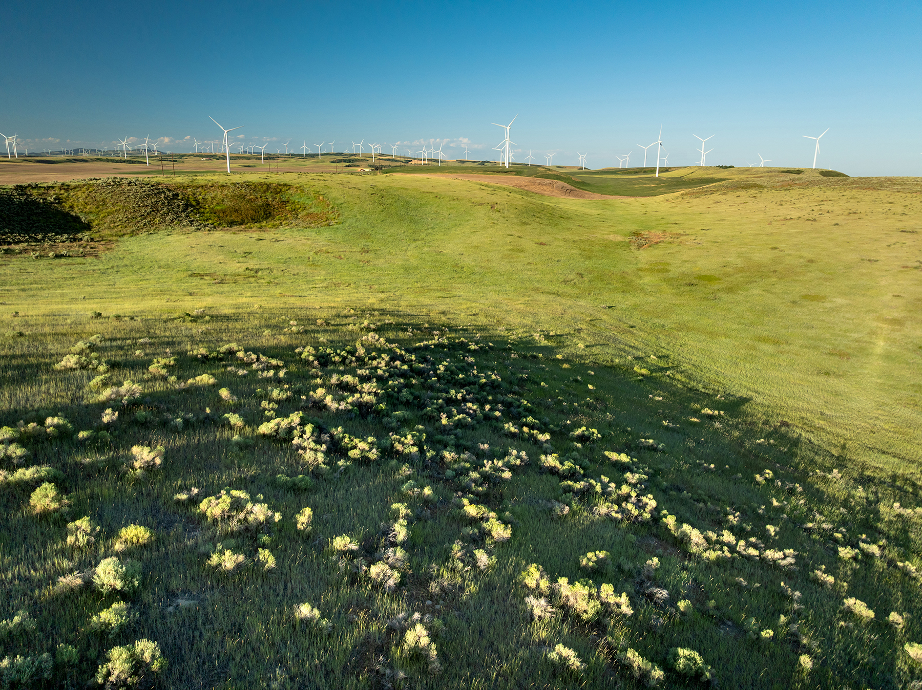 Johnson Ag property picture 9 of 39