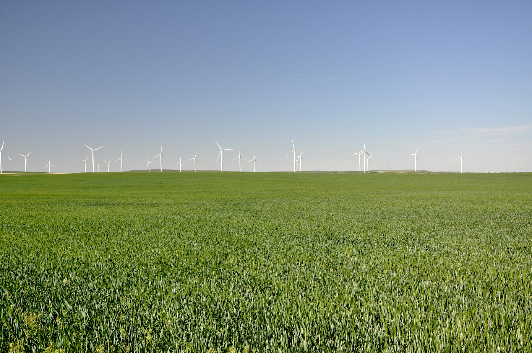 Johnson Ag property picture 20 of 39