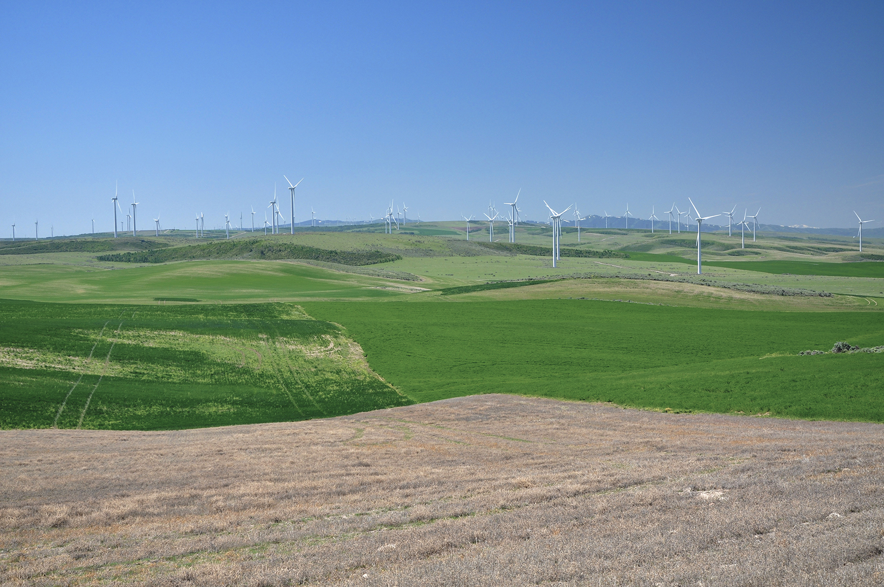 Johnson Ag property picture 5 of 39