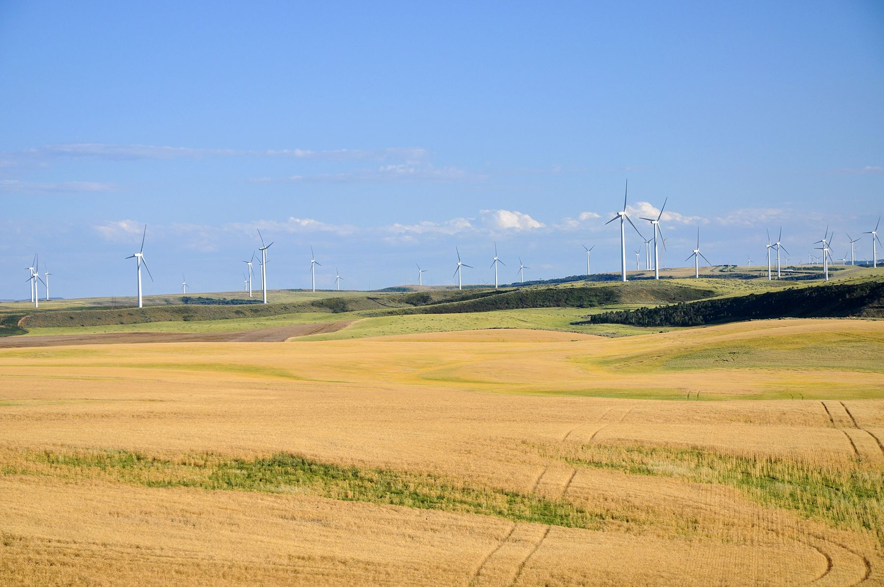 Johnson Ag property picture 1 of 39