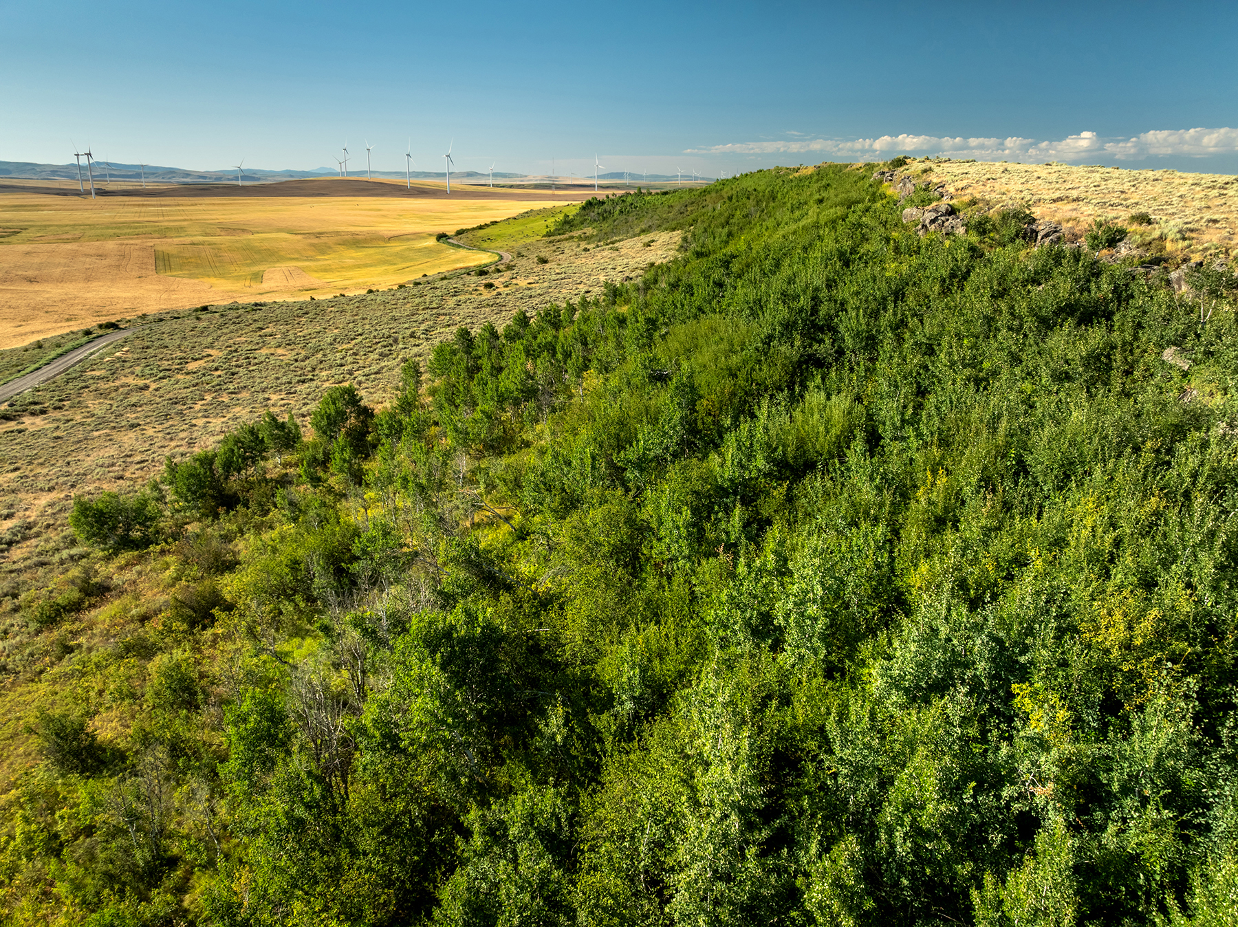 Johnson Ag property picture 7 of 39