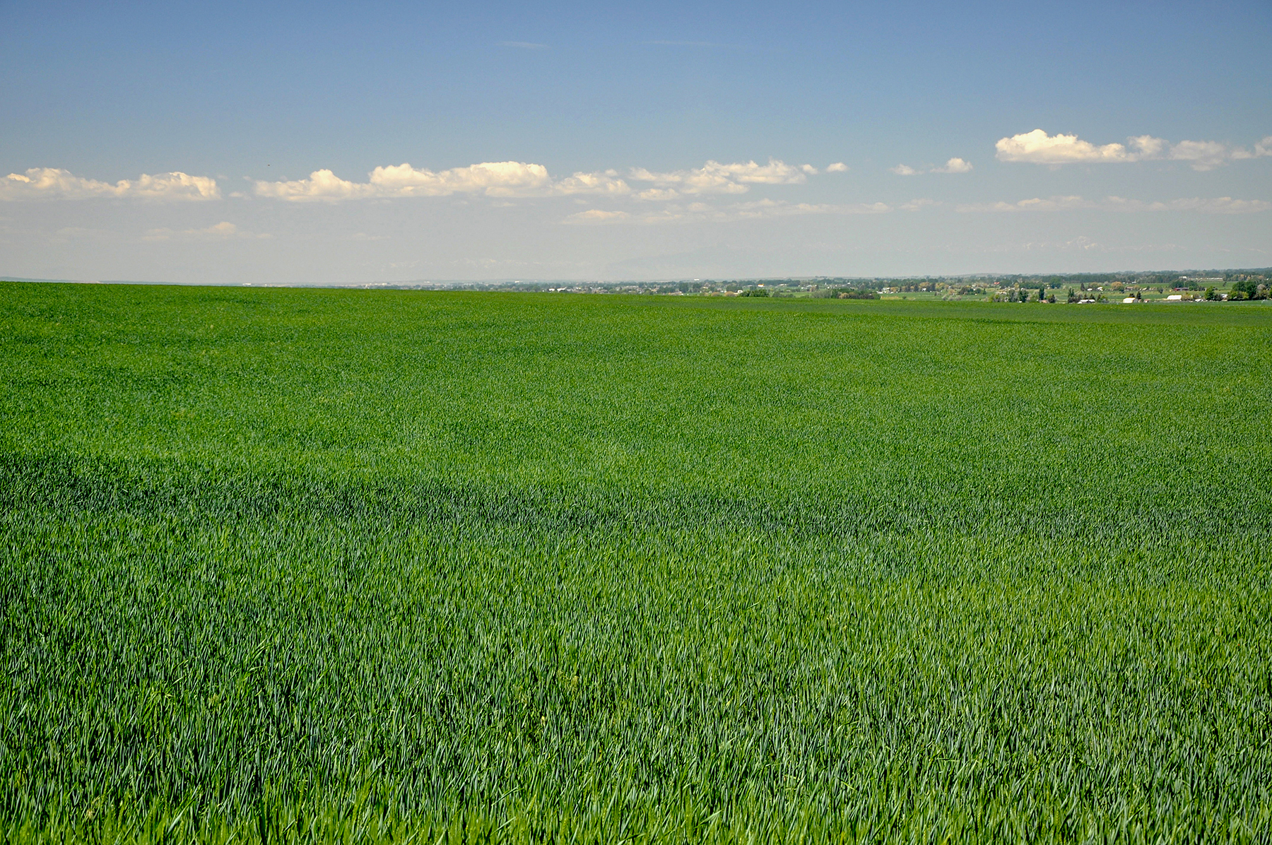 Johnson Ag property picture 27 of 39