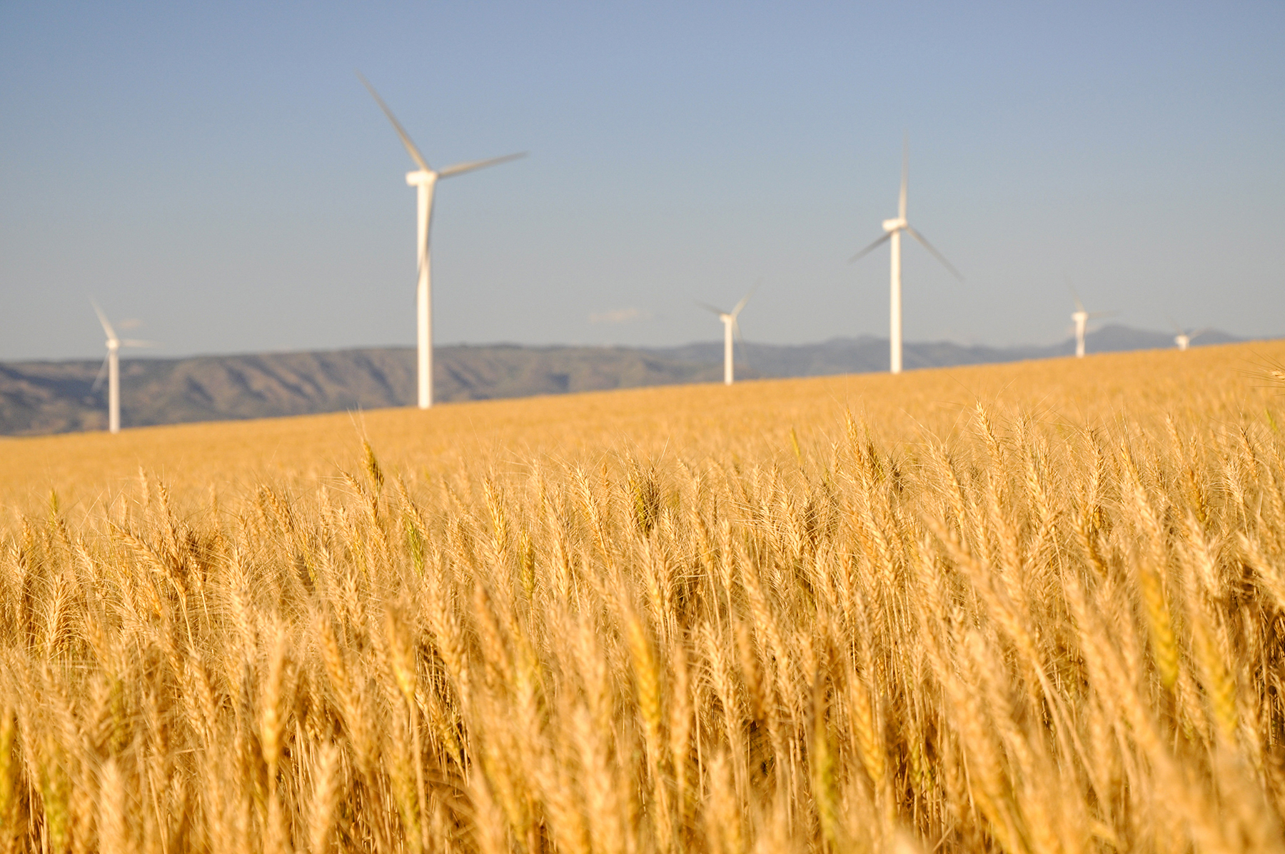 Johnson Ag property picture 24 of 39