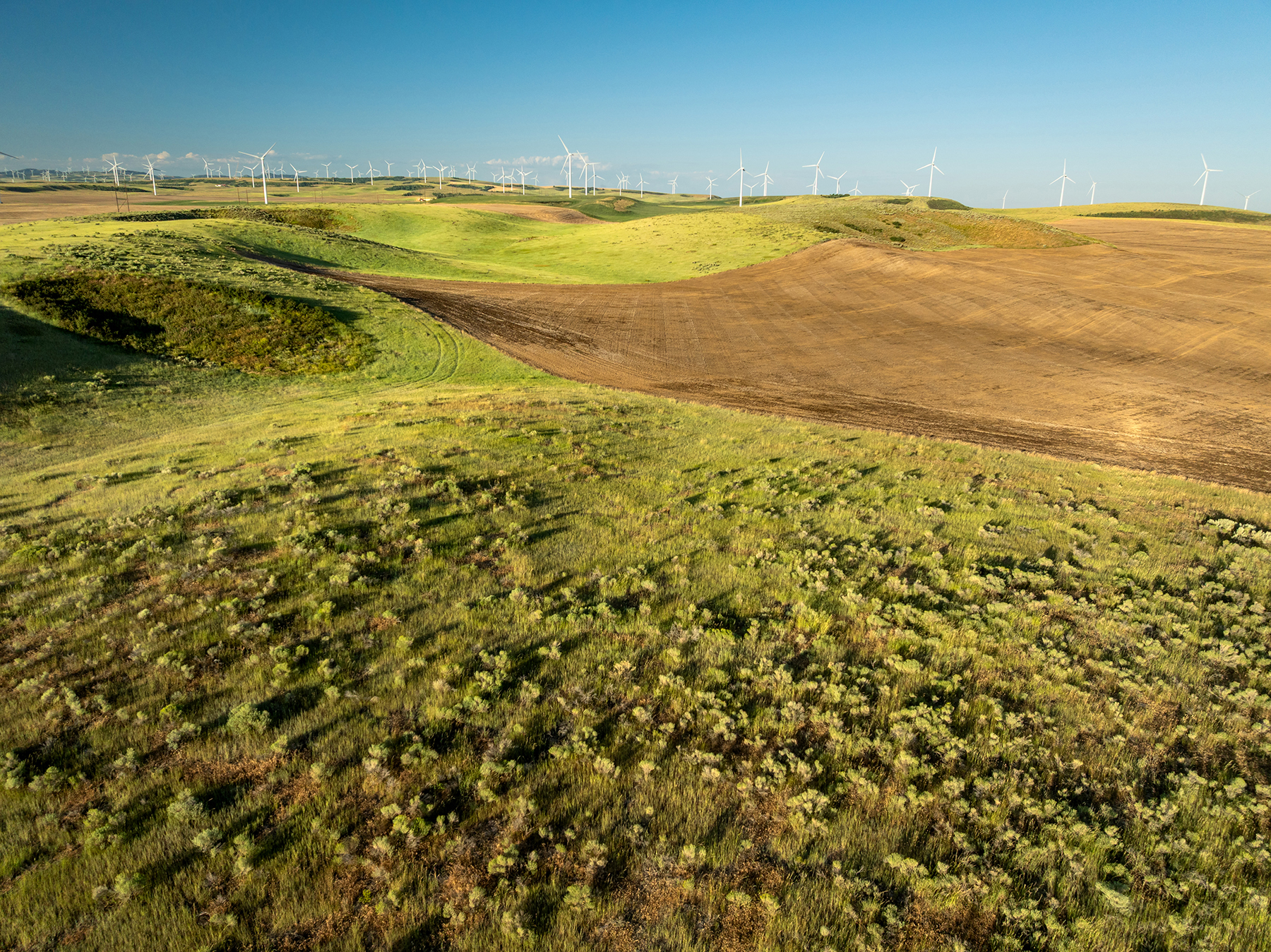 Johnson Ag property picture 2 of 39