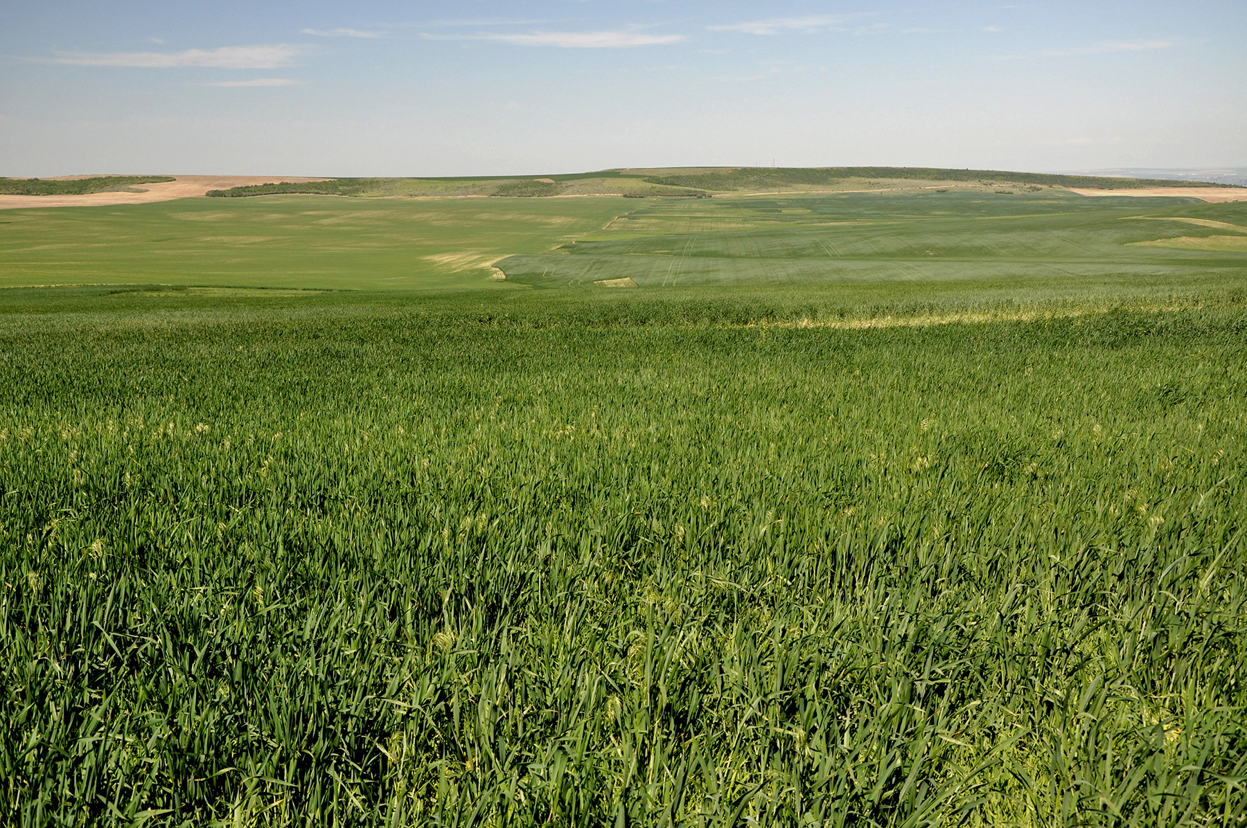 Johnson Ag property picture 21 of 39