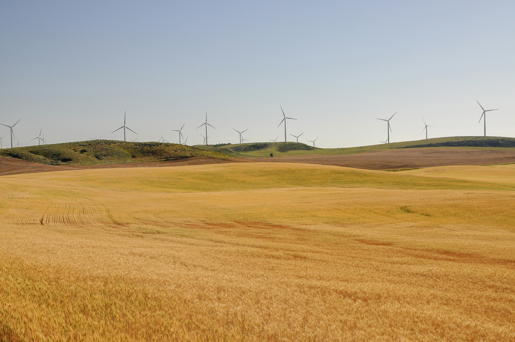 Johnson Ag property picture 35 of 39