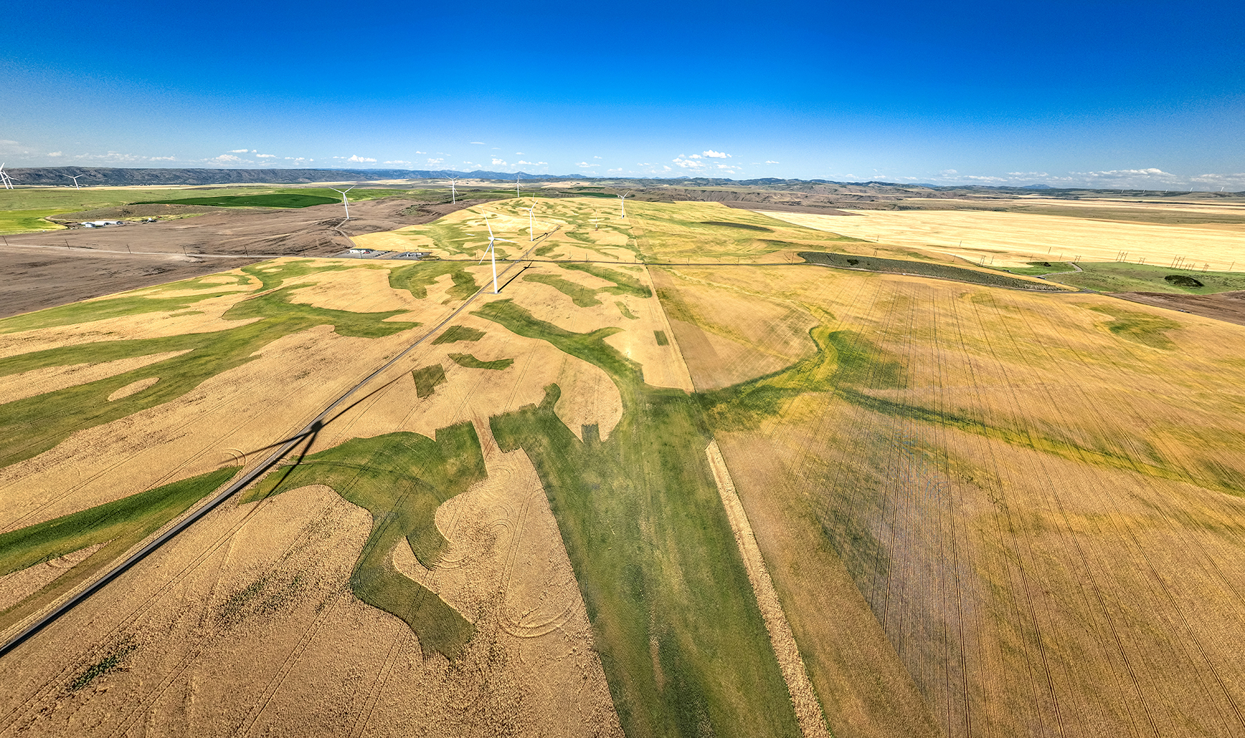 Johnson Ag property picture 29 of 39