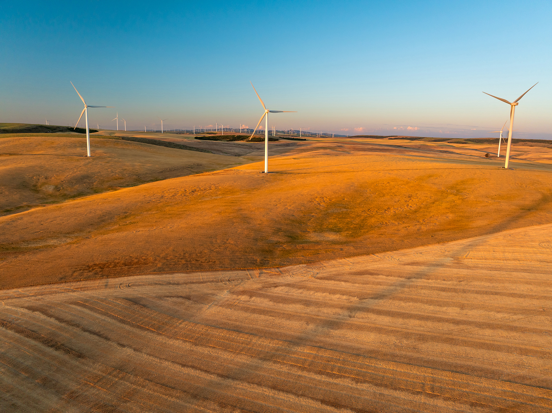 Johnson Ag property picture 25 of 39