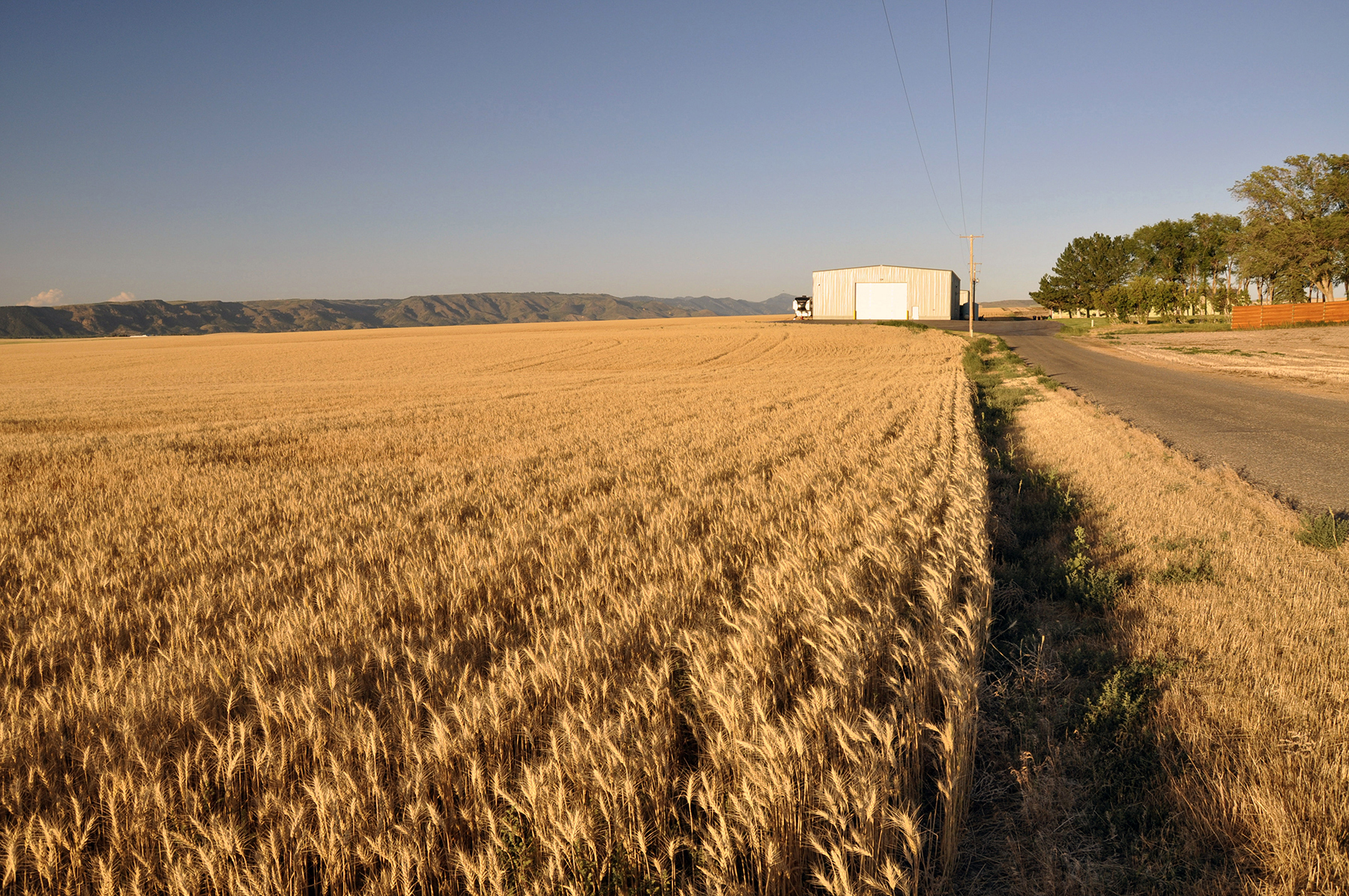 Johnson Ag property picture 23 of 39