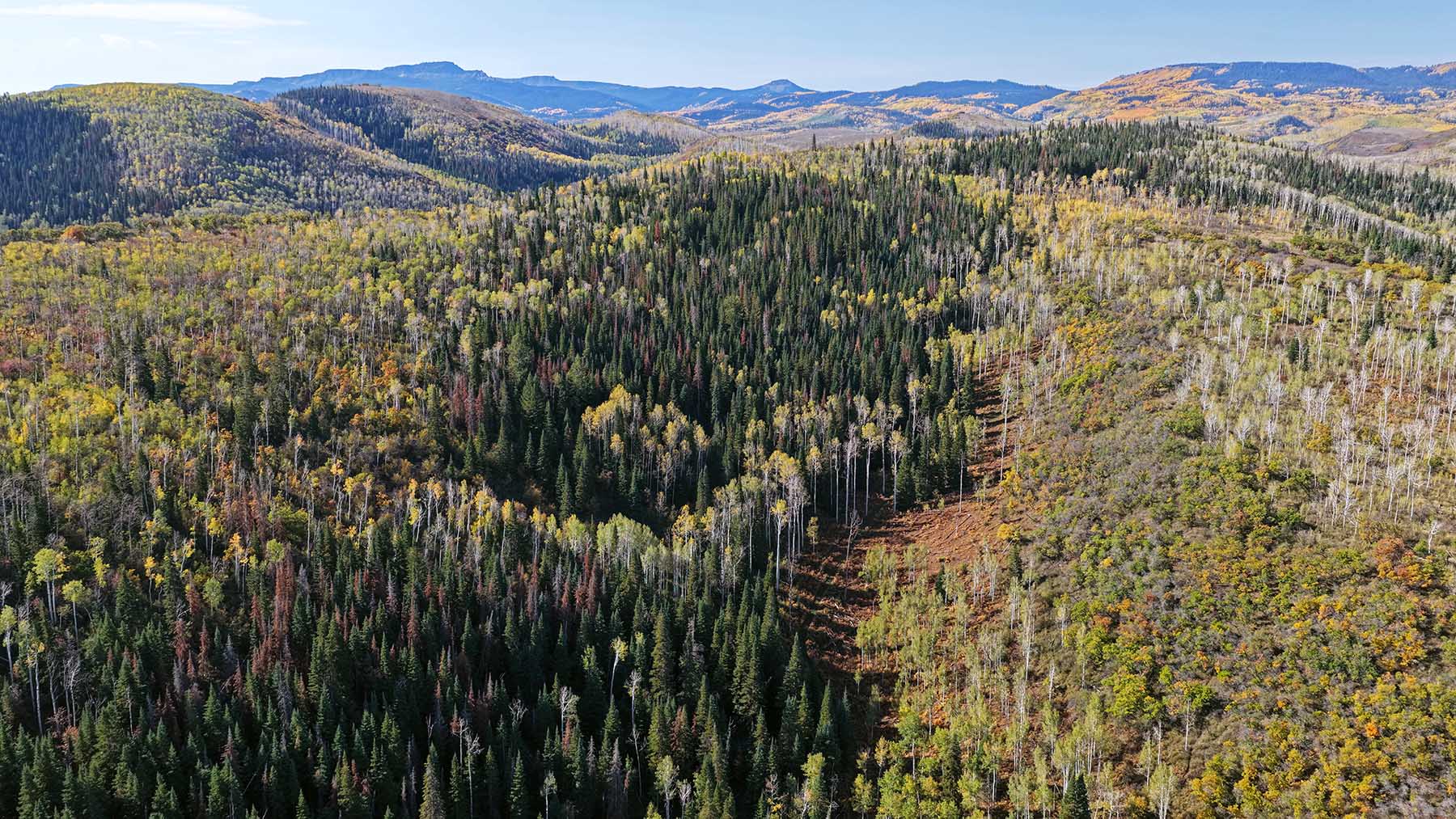 Middle Creek Ranch property picture 102 of 111