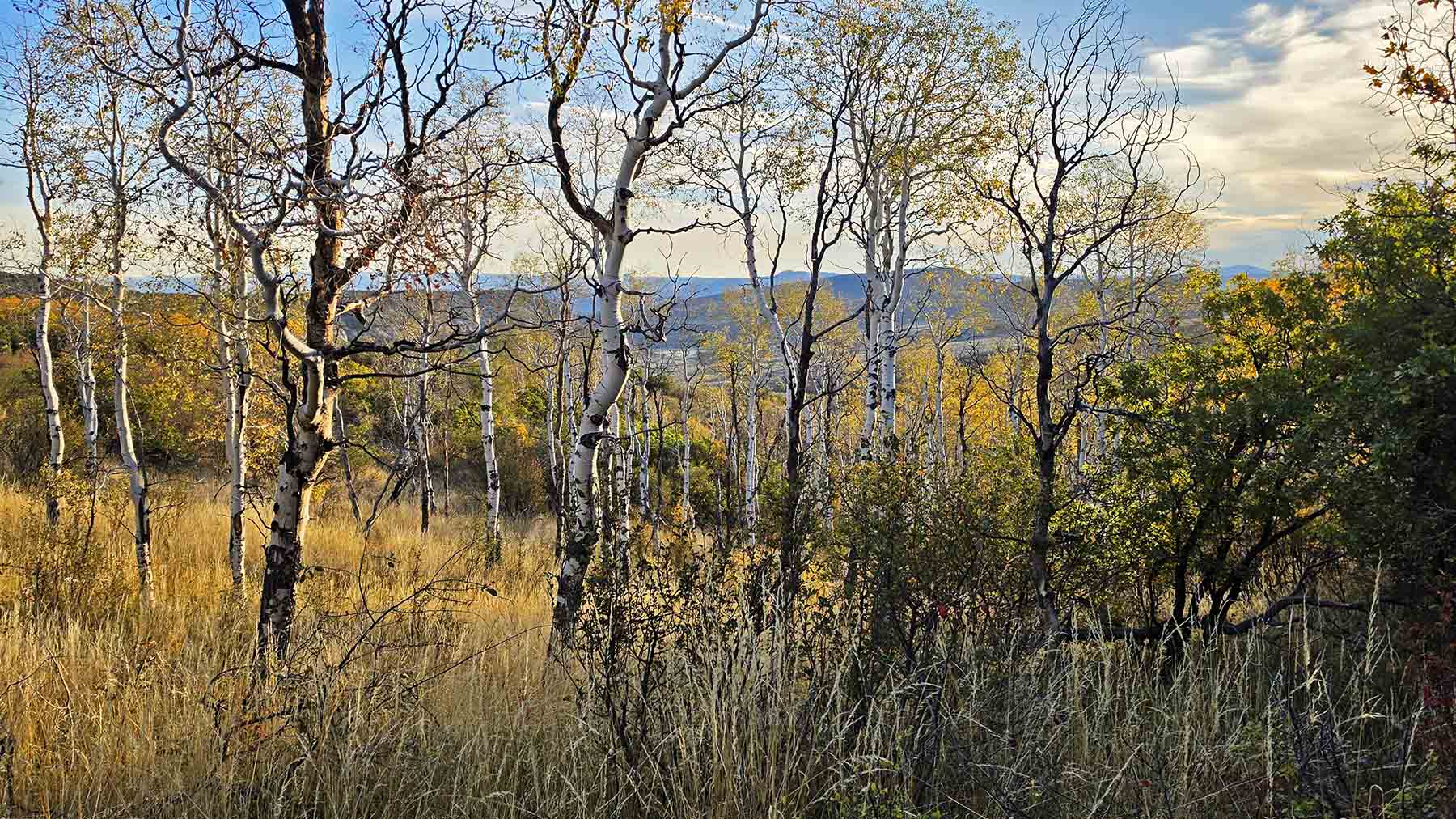 Middle Creek Ranch property picture 106 of 111