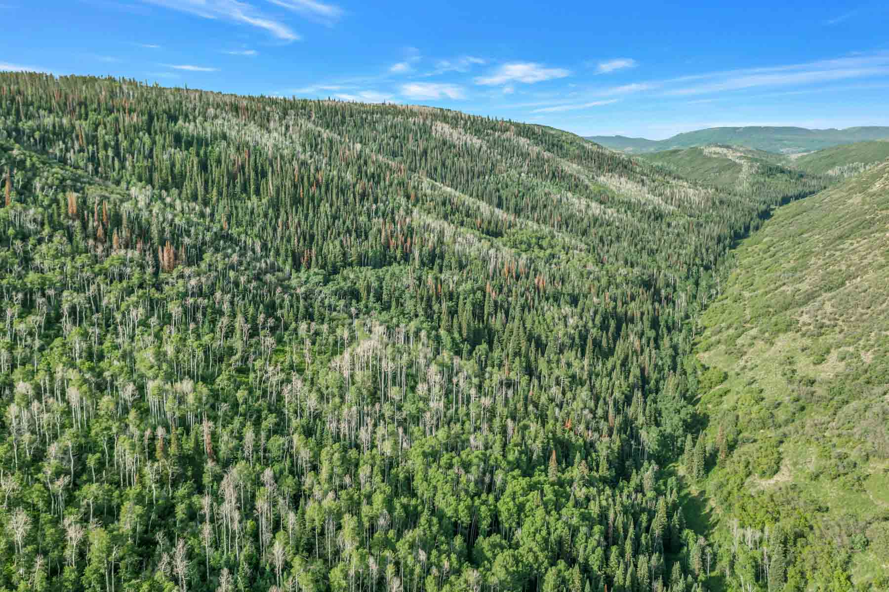 Middle Creek Ranch property picture 42 of 97