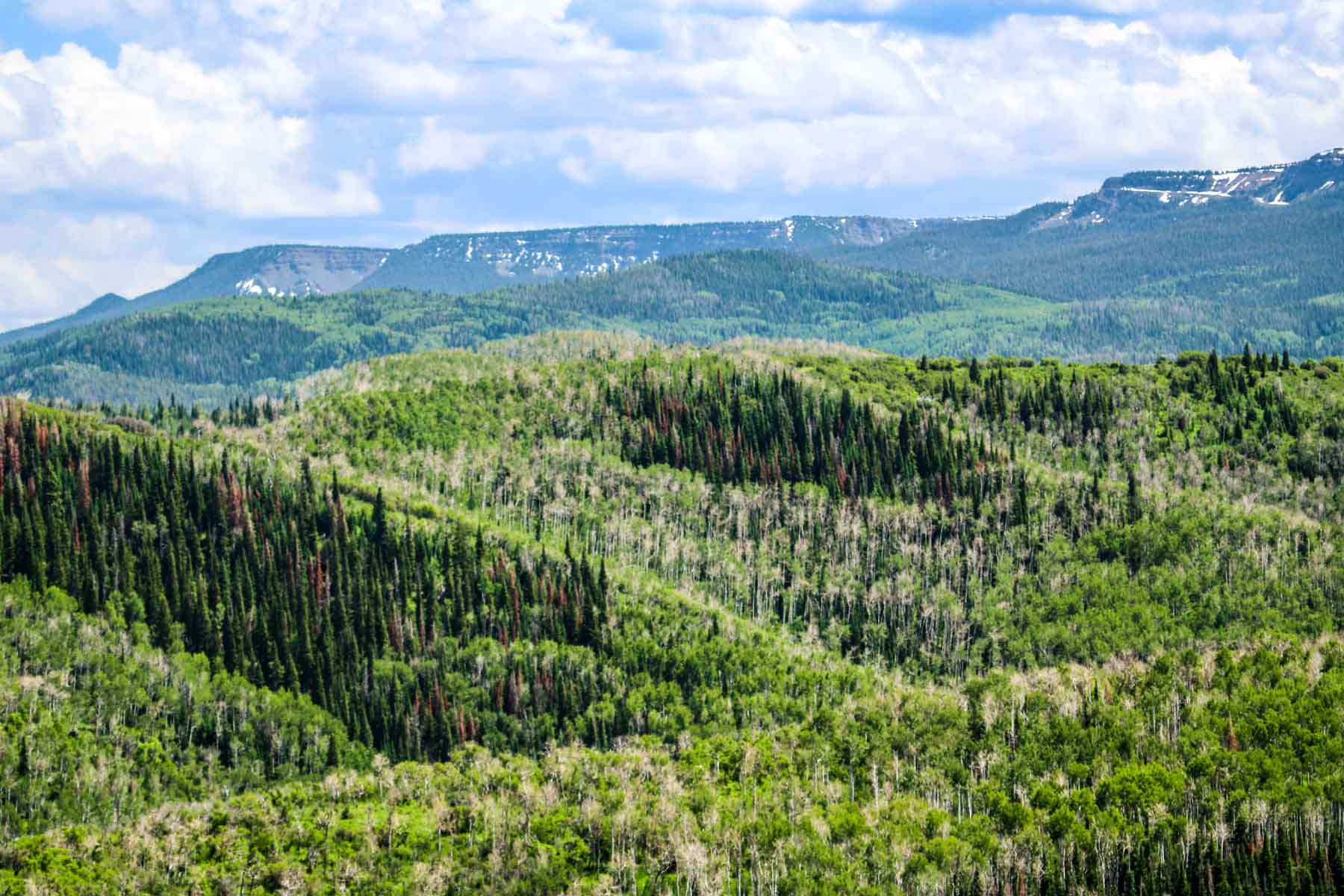 Middle Creek Ranch property picture 5 of 97