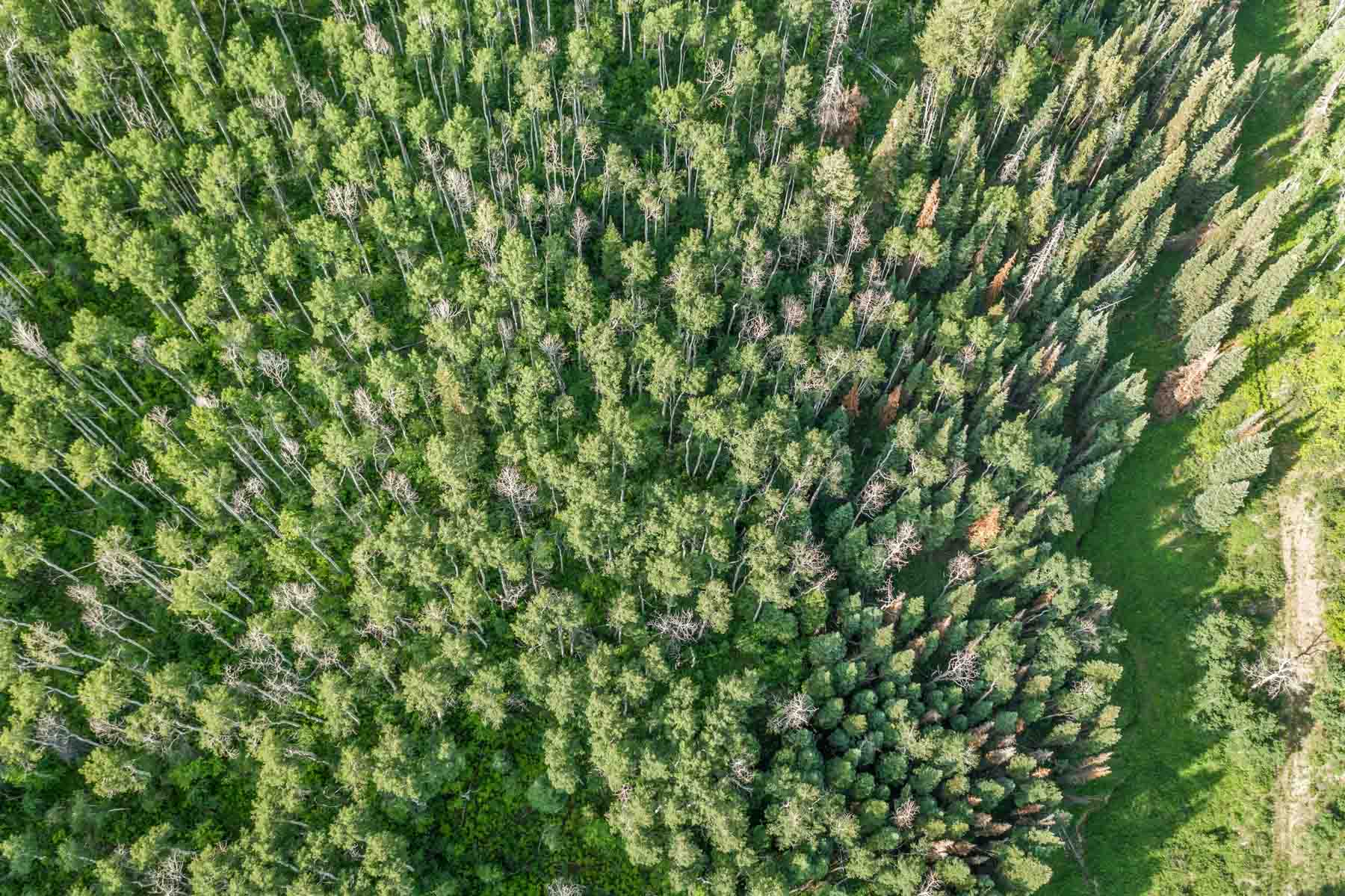 Middle Creek Ranch property picture 37 of 97