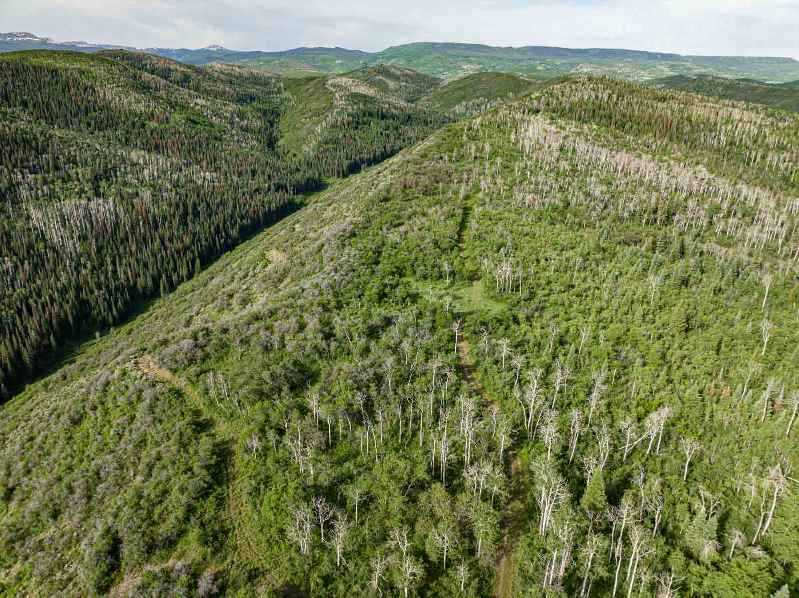 Middle Creek Ranch property picture 70 of 97