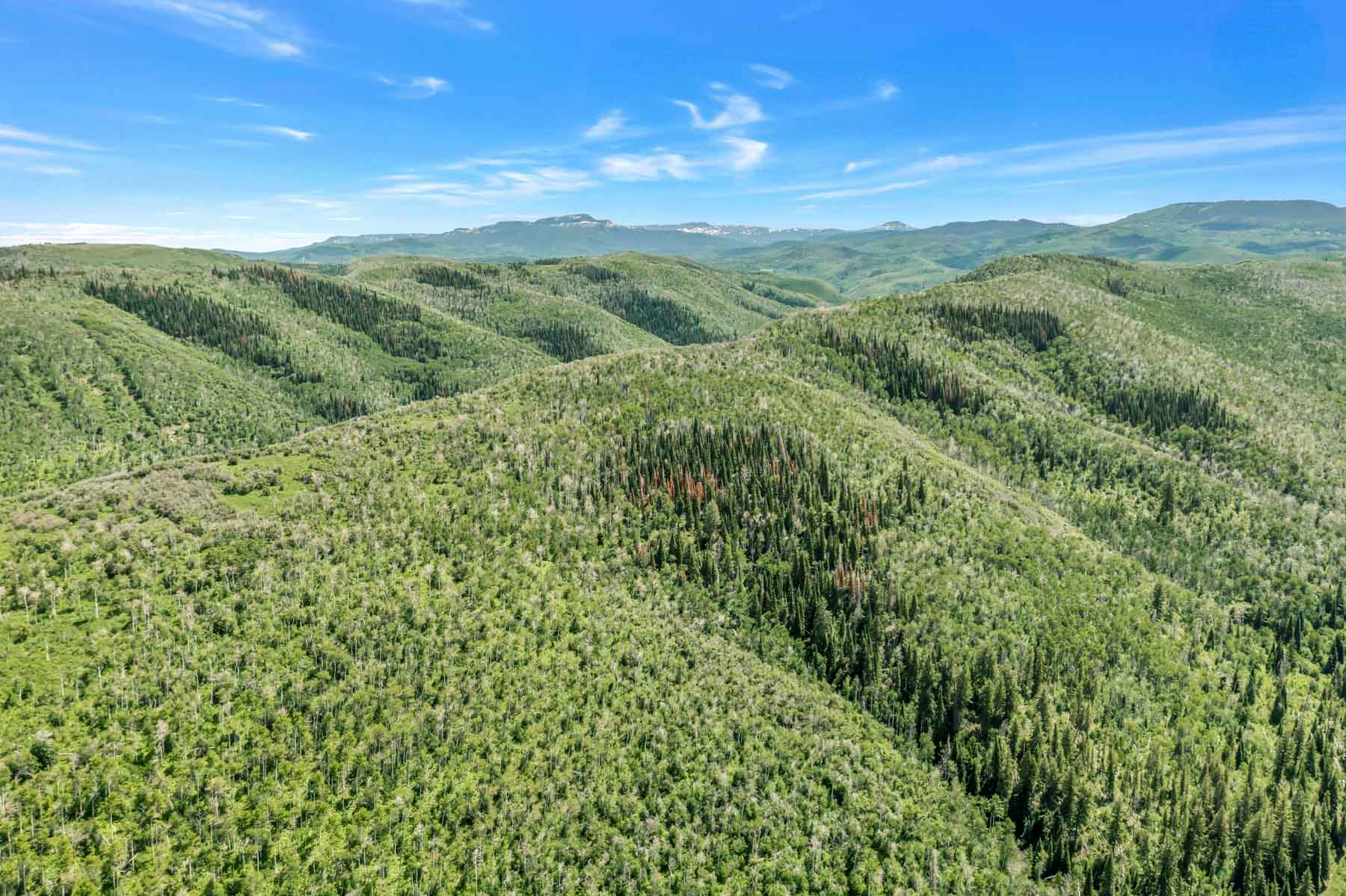 Middle Creek Ranch property picture 4 of 97