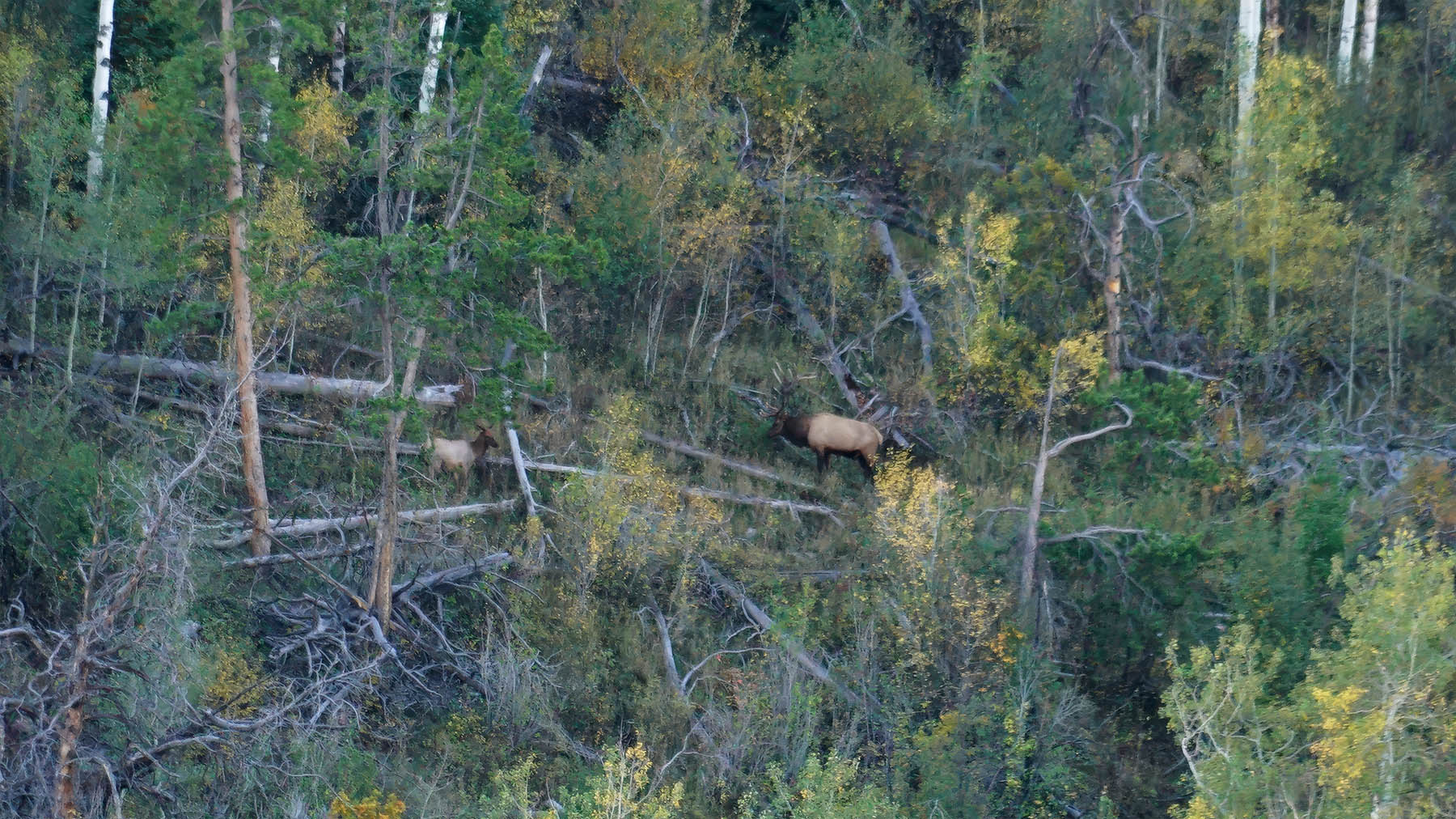 Middle Creek Ranch property picture 107 of 111