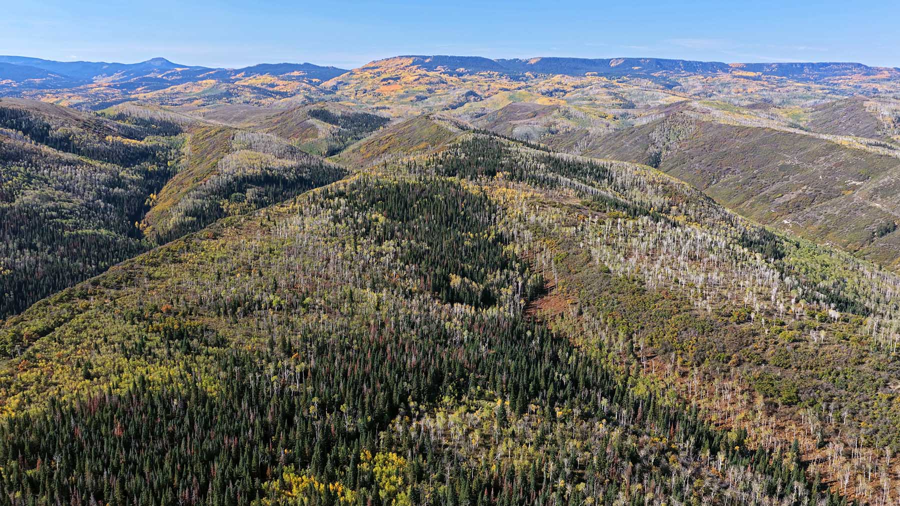 Middle Creek Ranch property picture 101 of 111
