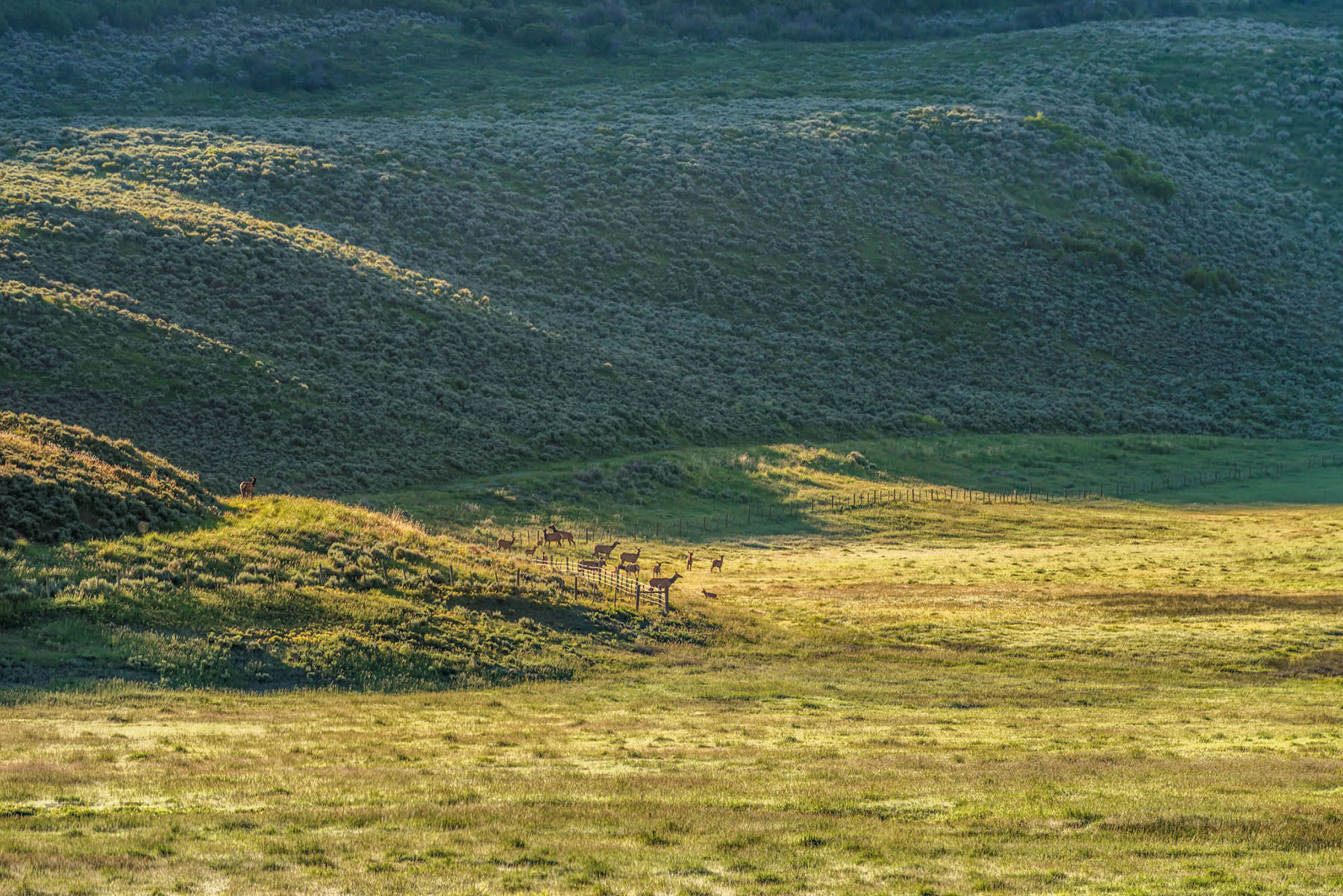 Middle Creek Ranch property picture 10 of 97