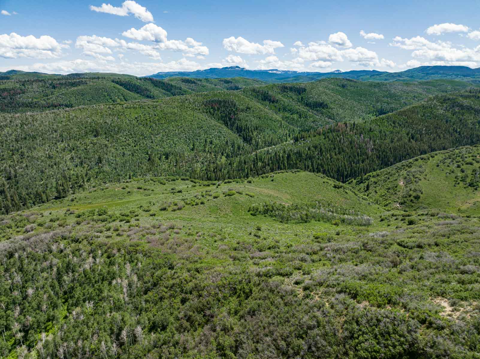 Middle Creek Ranch property picture 73 of 97