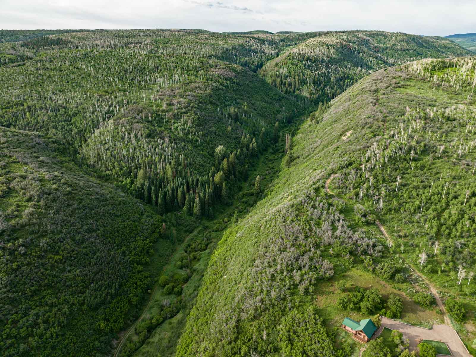 Middle Creek Ranch property picture 55 of 97