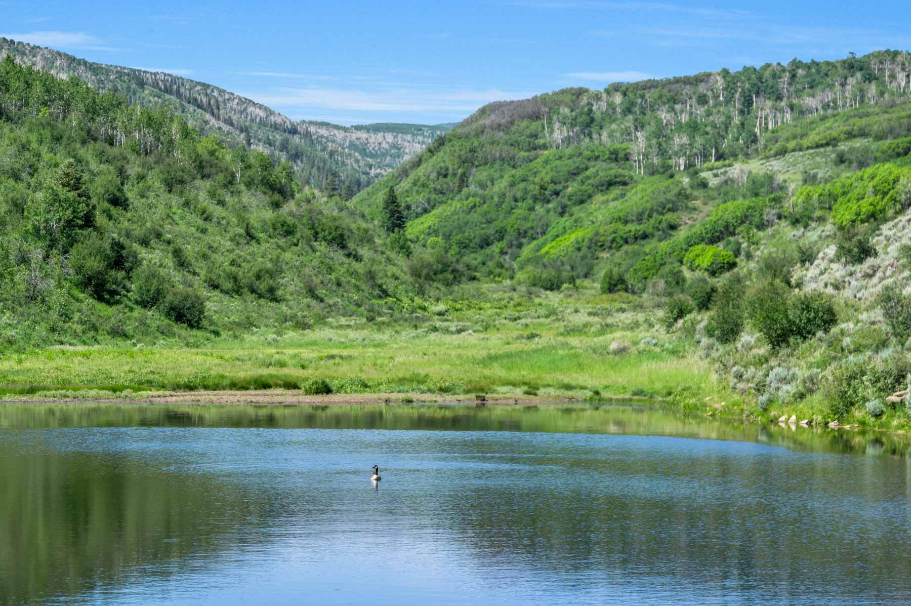 Middle Creek Ranch property picture 40 of 97