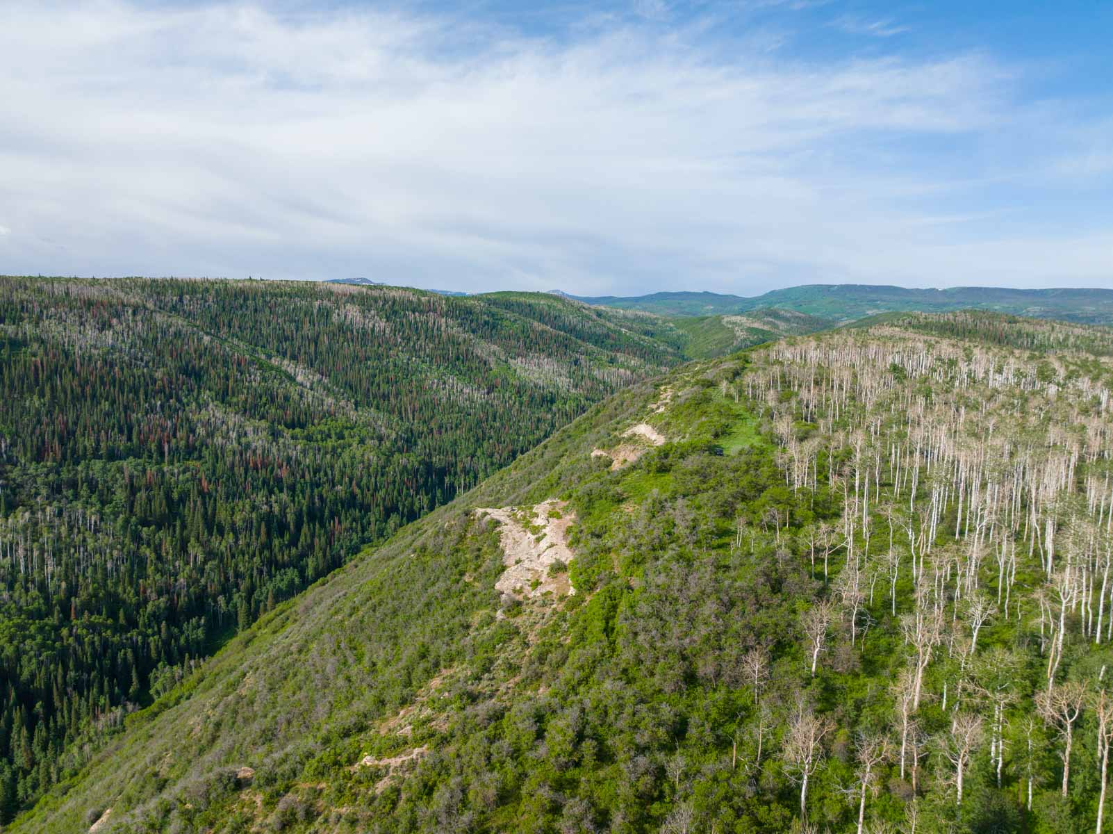 Middle Creek Ranch property picture 65 of 97