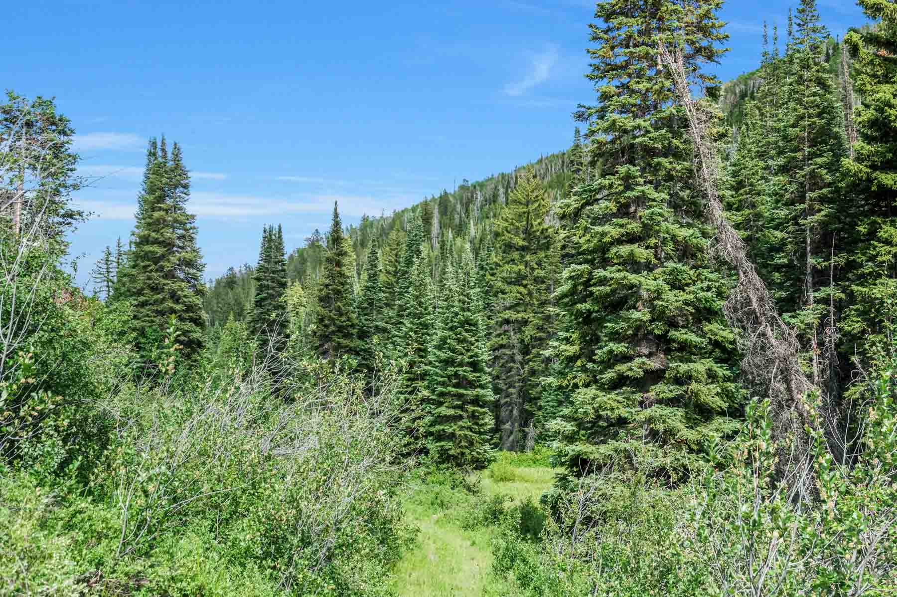 Middle Creek Ranch property picture 35 of 97