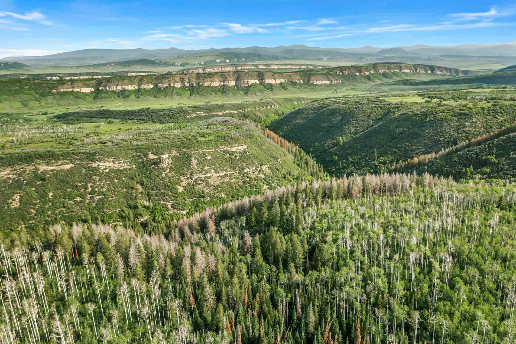 Middle Creek Ranch property picture 38 of 97