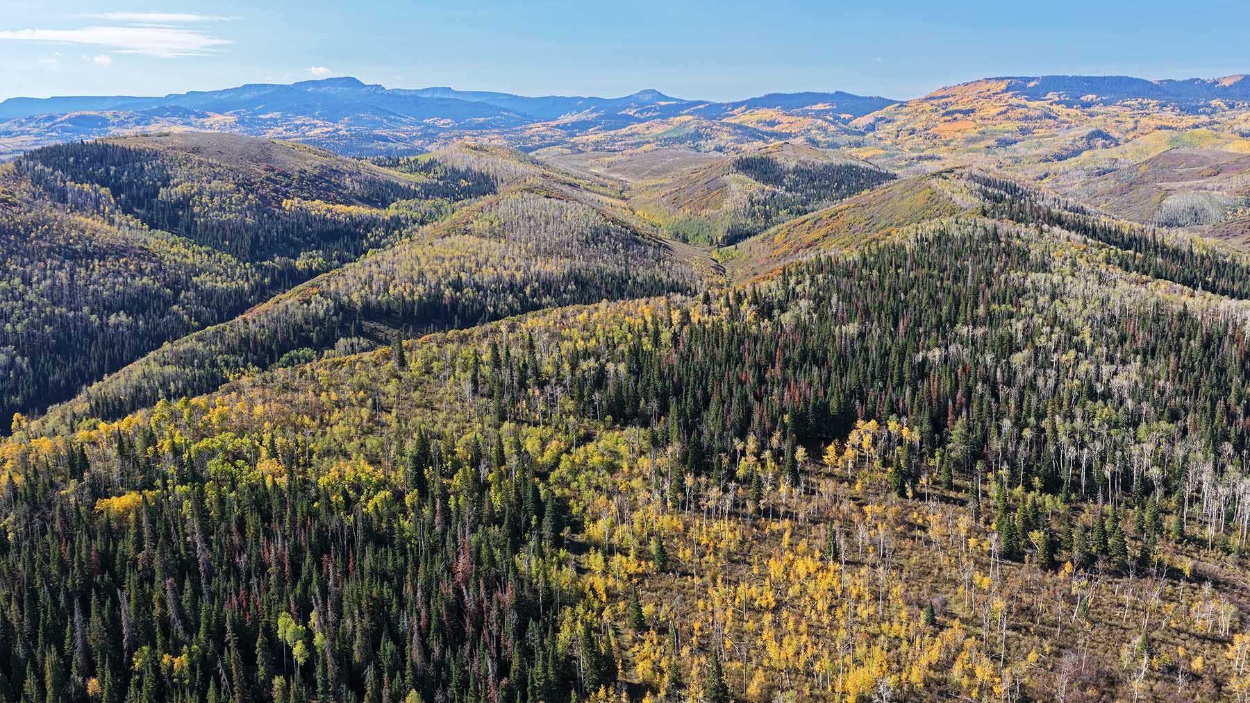 Middle Creek Ranch property picture 104 of 111