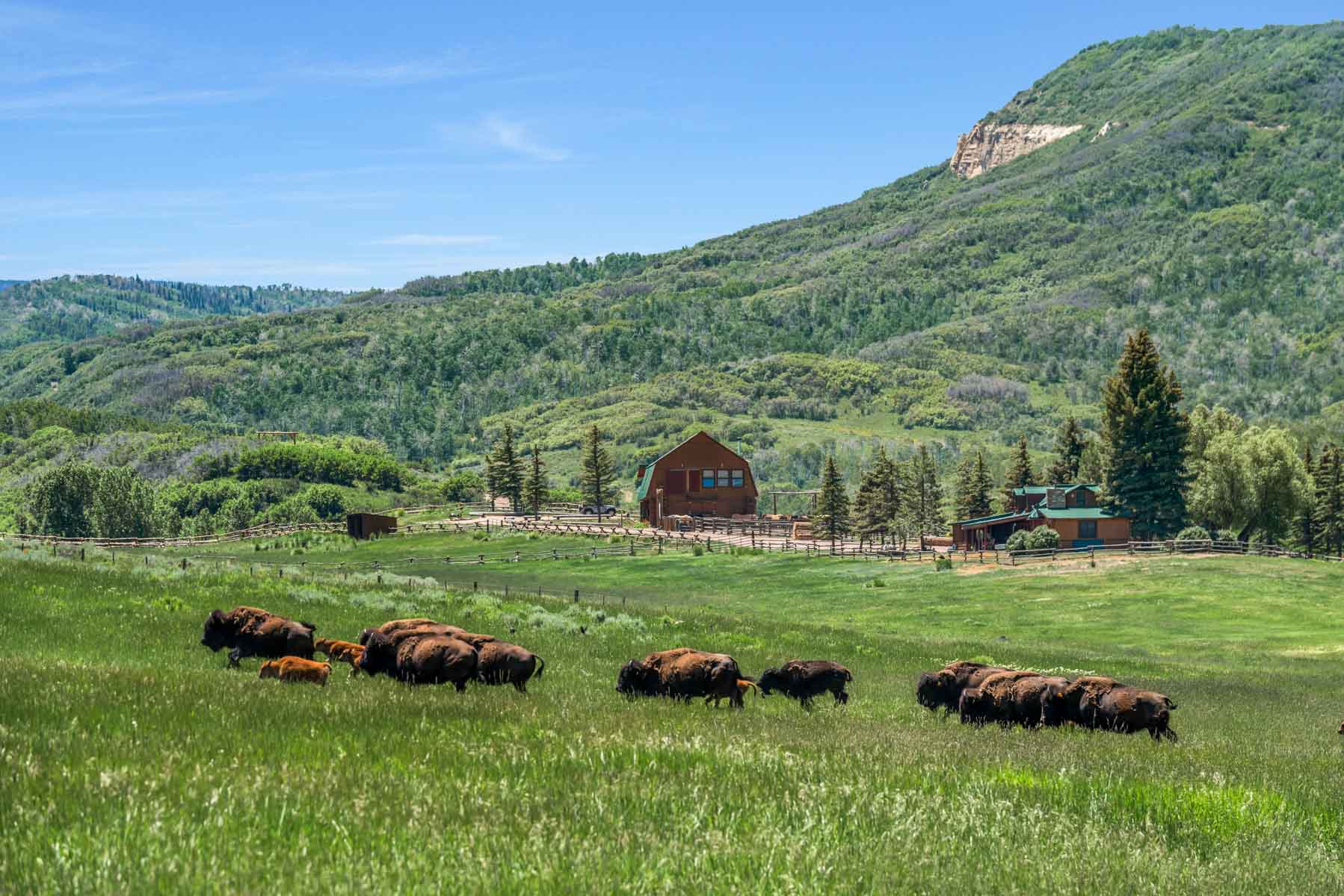 Middle Creek Ranch property picture 2 of 97