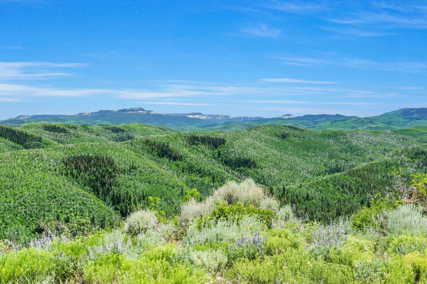 Middle Creek Ranch property picture 87 of 97