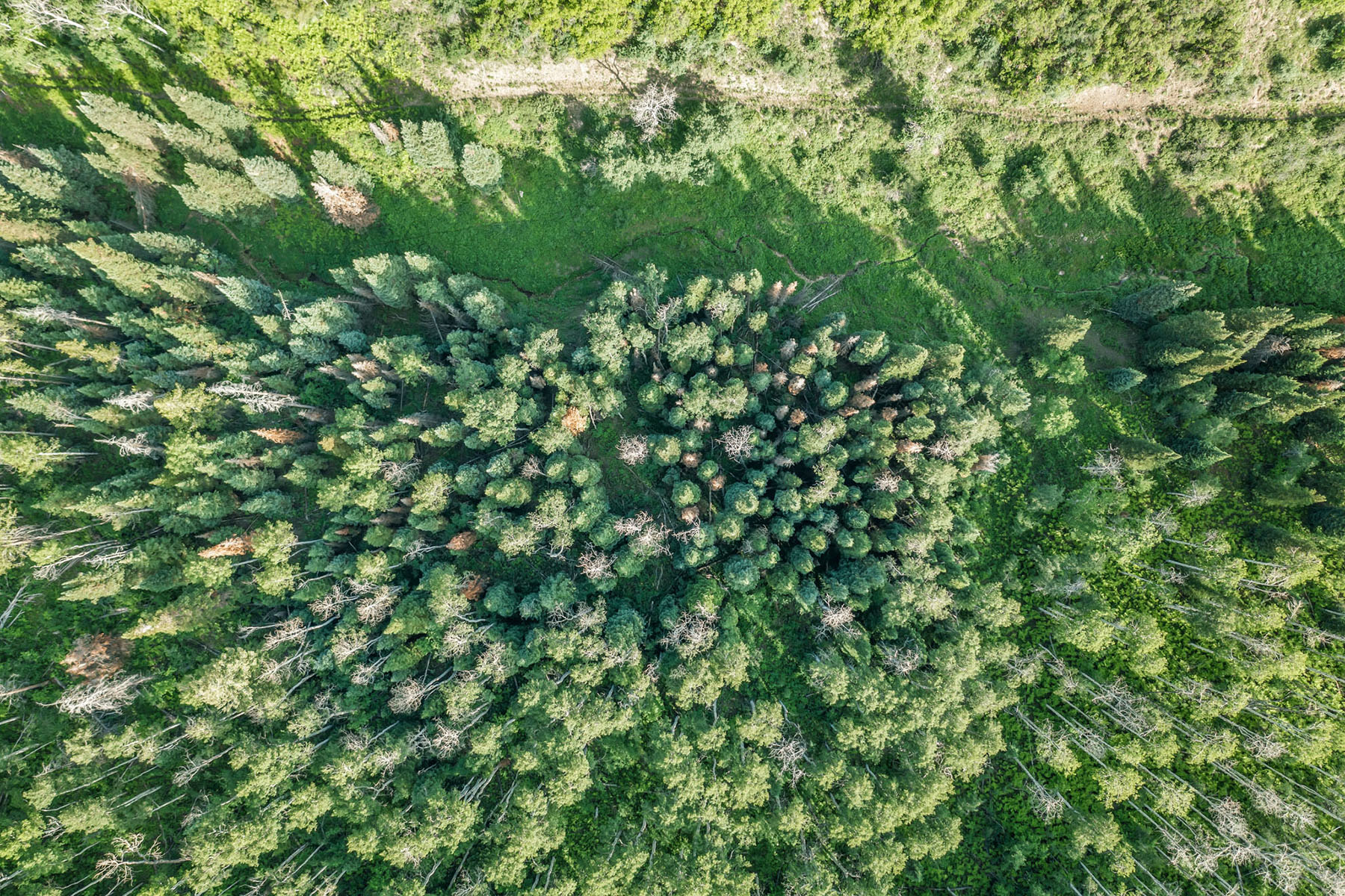 Middle Creek Ranch property picture 50 of 97