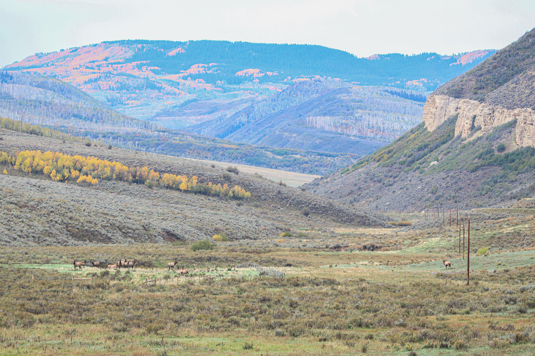 Middle Creek Ranch property picture 108 of 111