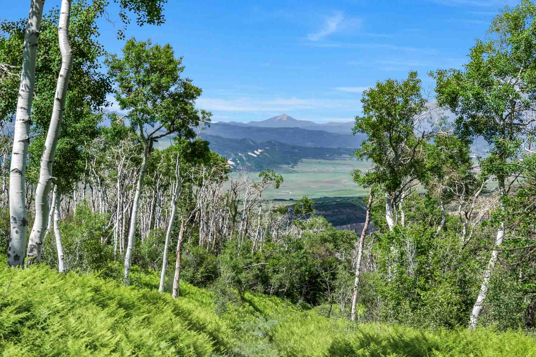 Middle Creek Ranch property picture 20 of 97